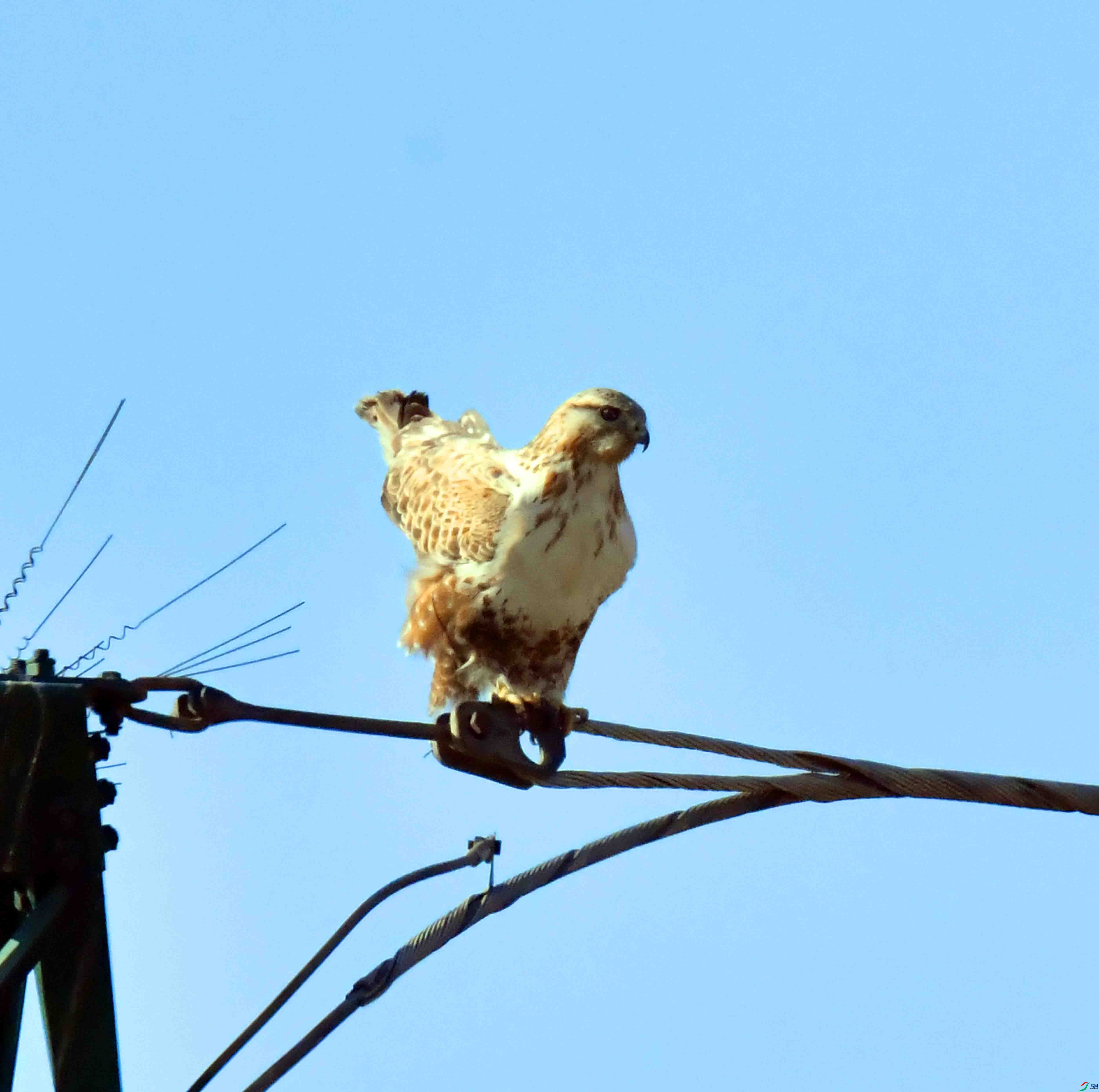 DSC_3357.JPG