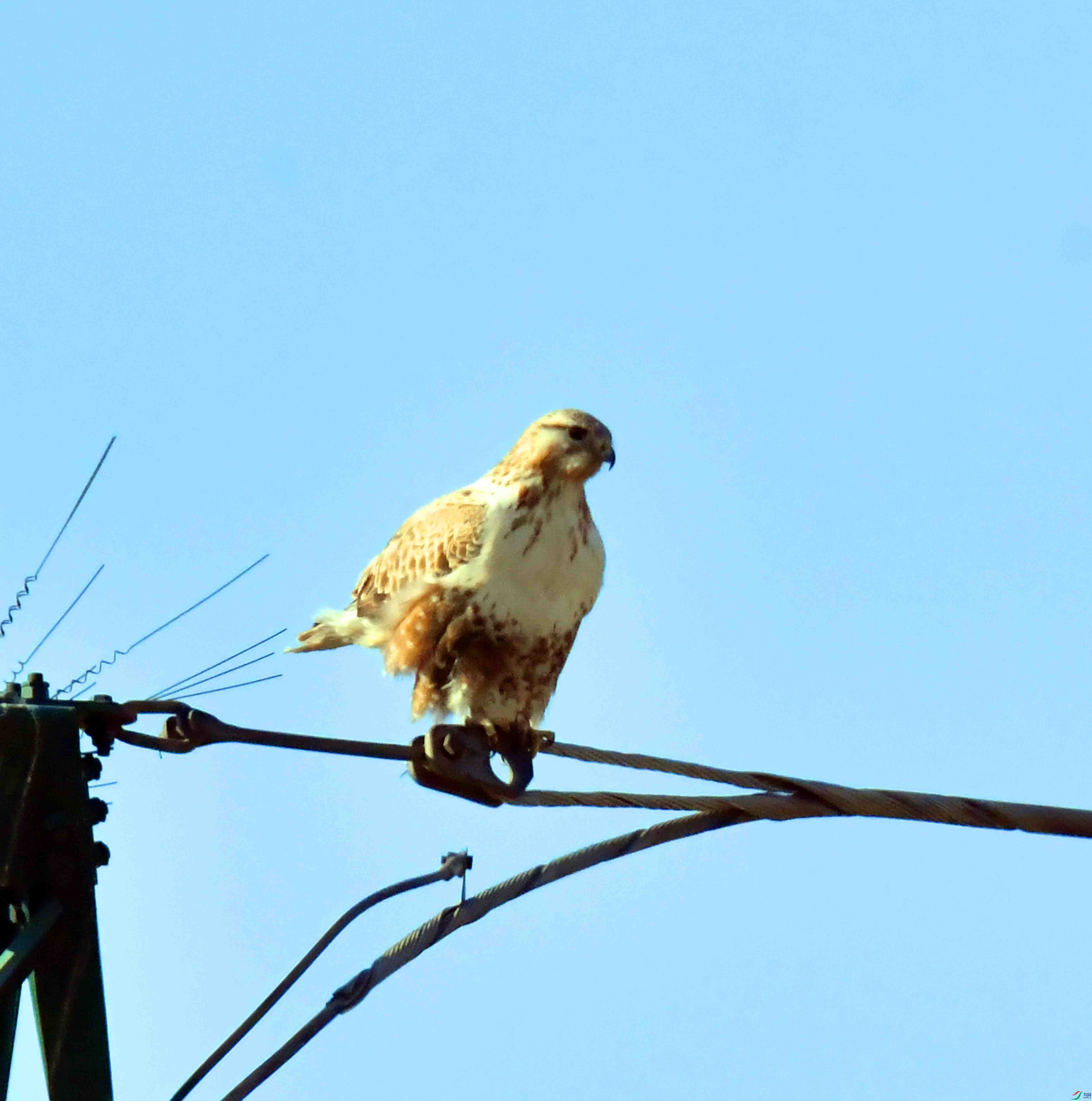 DSC_3360.JPG