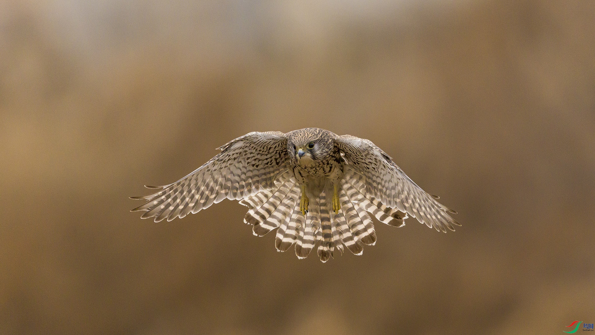 051A6262 ����n.jpg