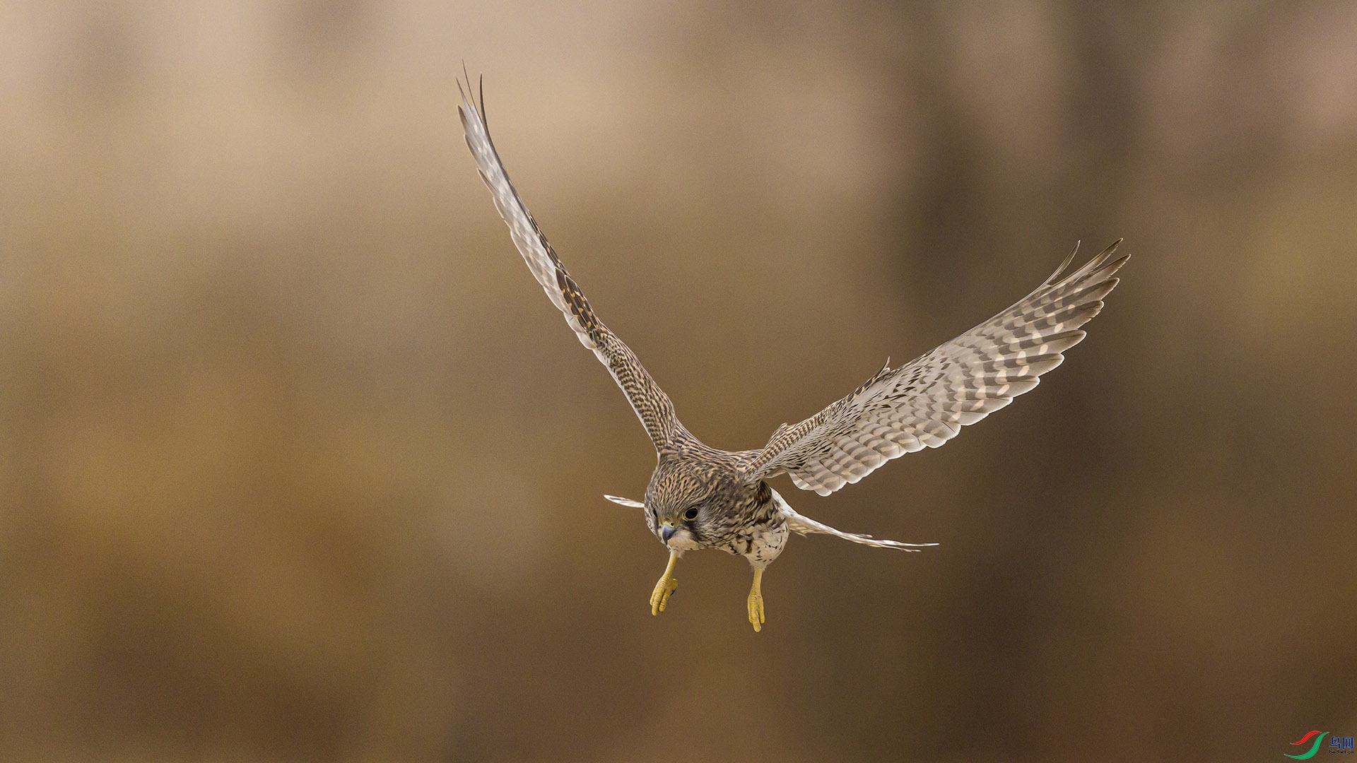 051A6286 ����n.jpg