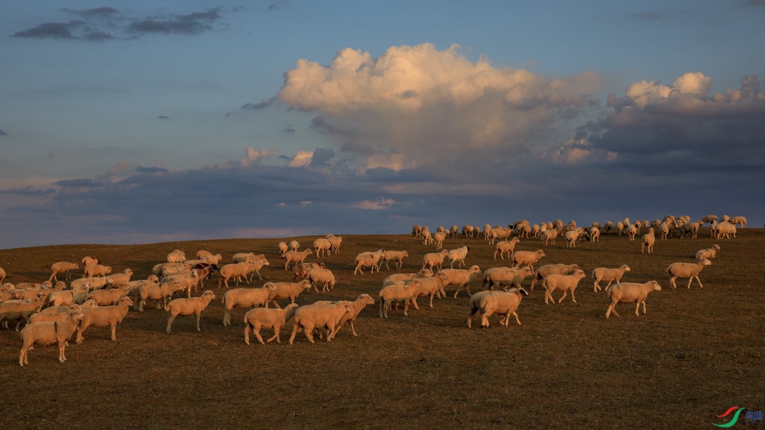 106A5933 ����.jpg