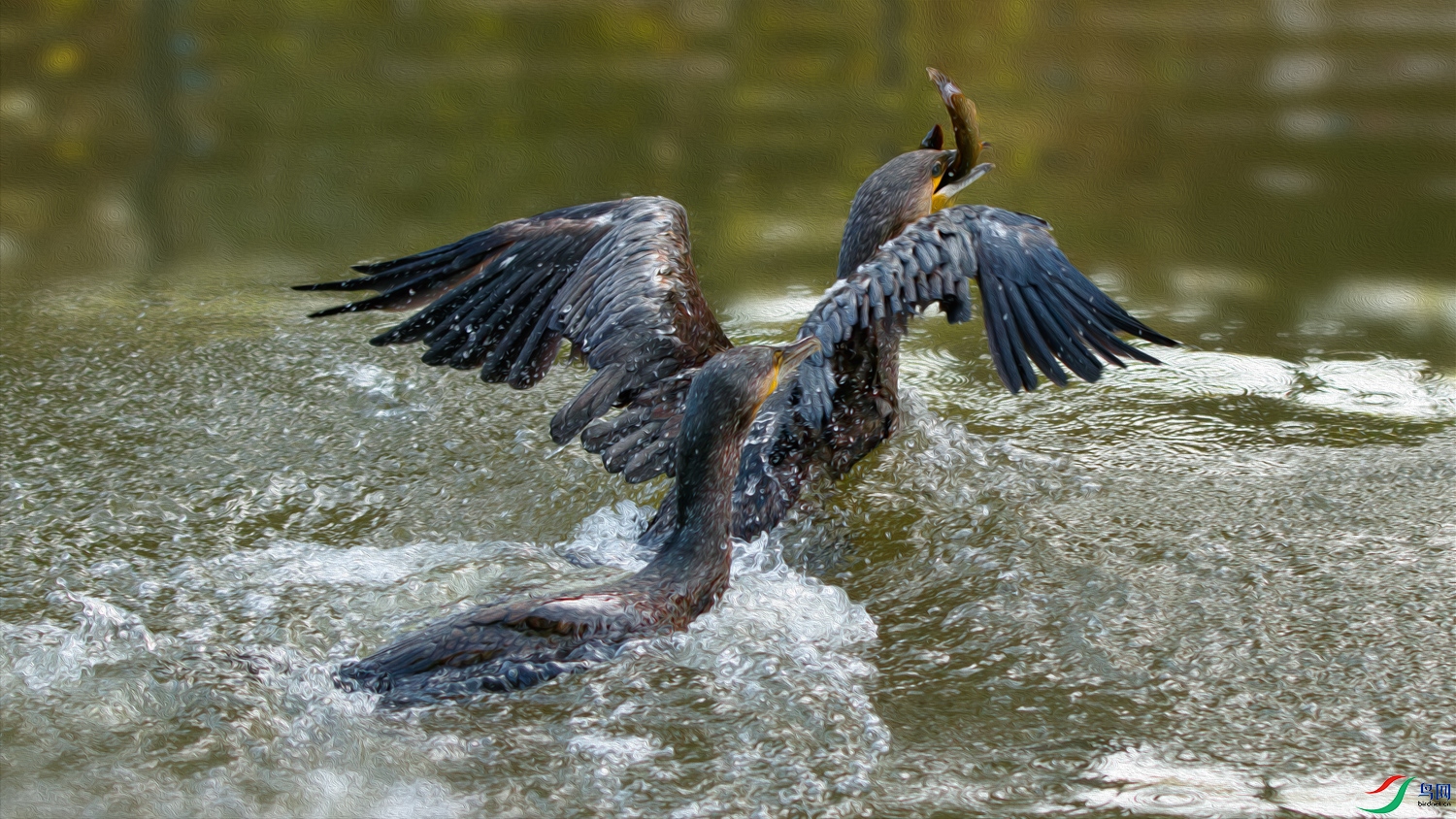 1N5A2444-����ǿ-NR ����.jpg