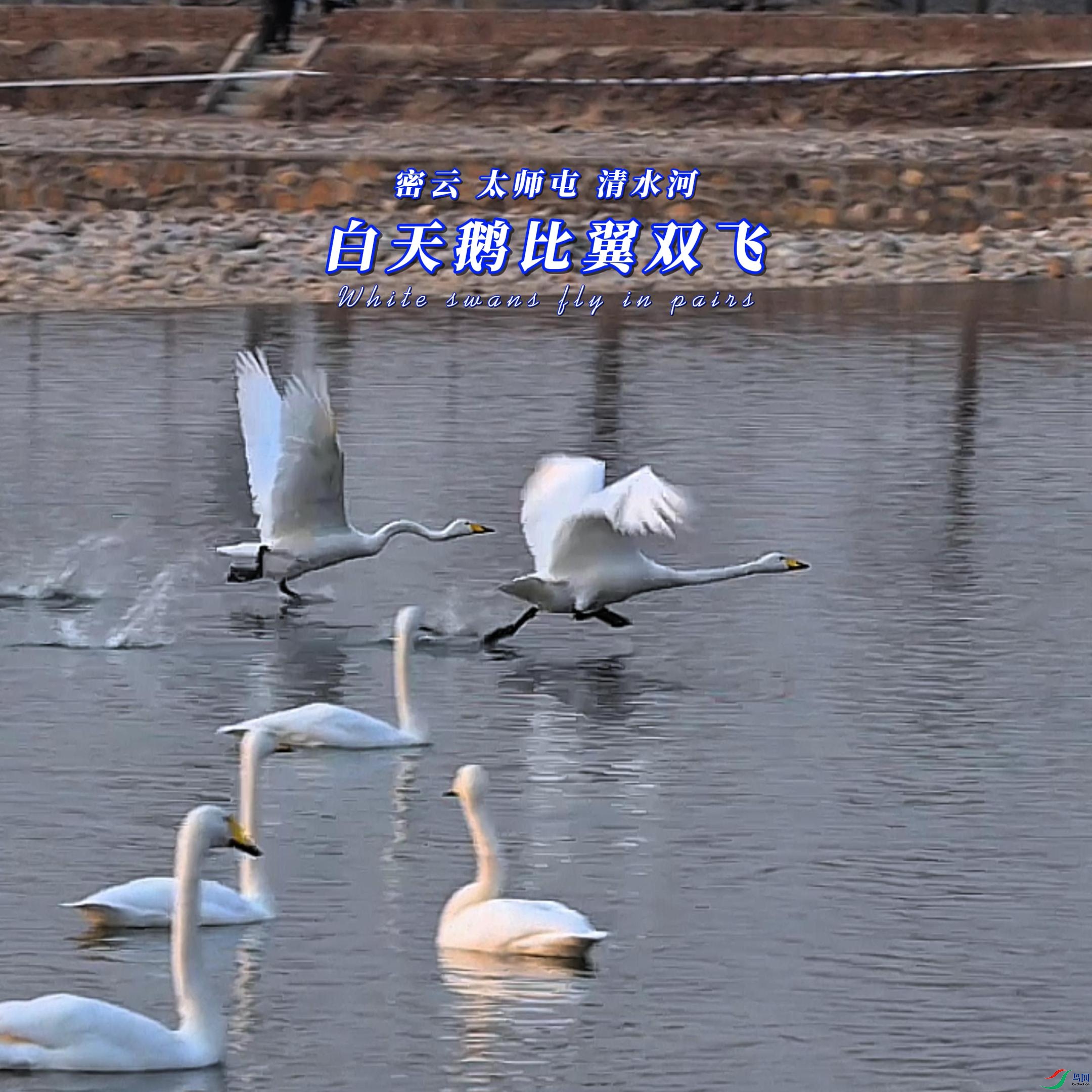 ���� ̫ʦ�� ��ˮ�� ��������˫��-����.jpg