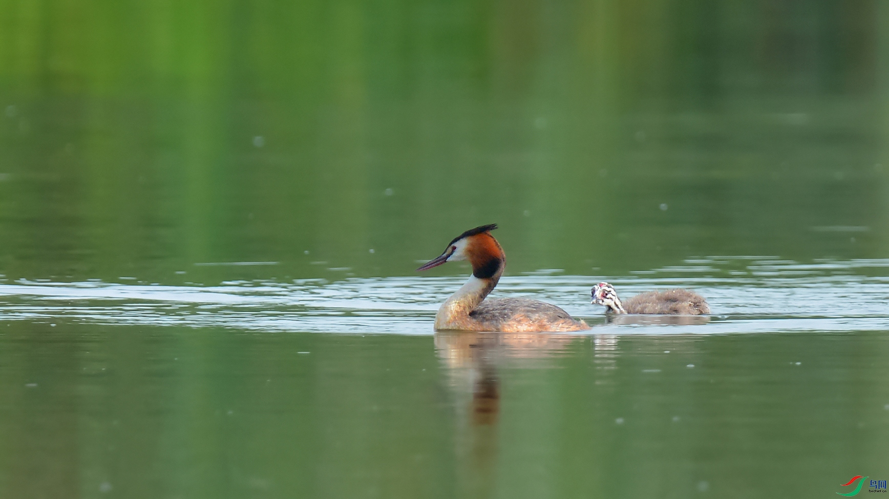 4DSC_5455_DxOa.jpg