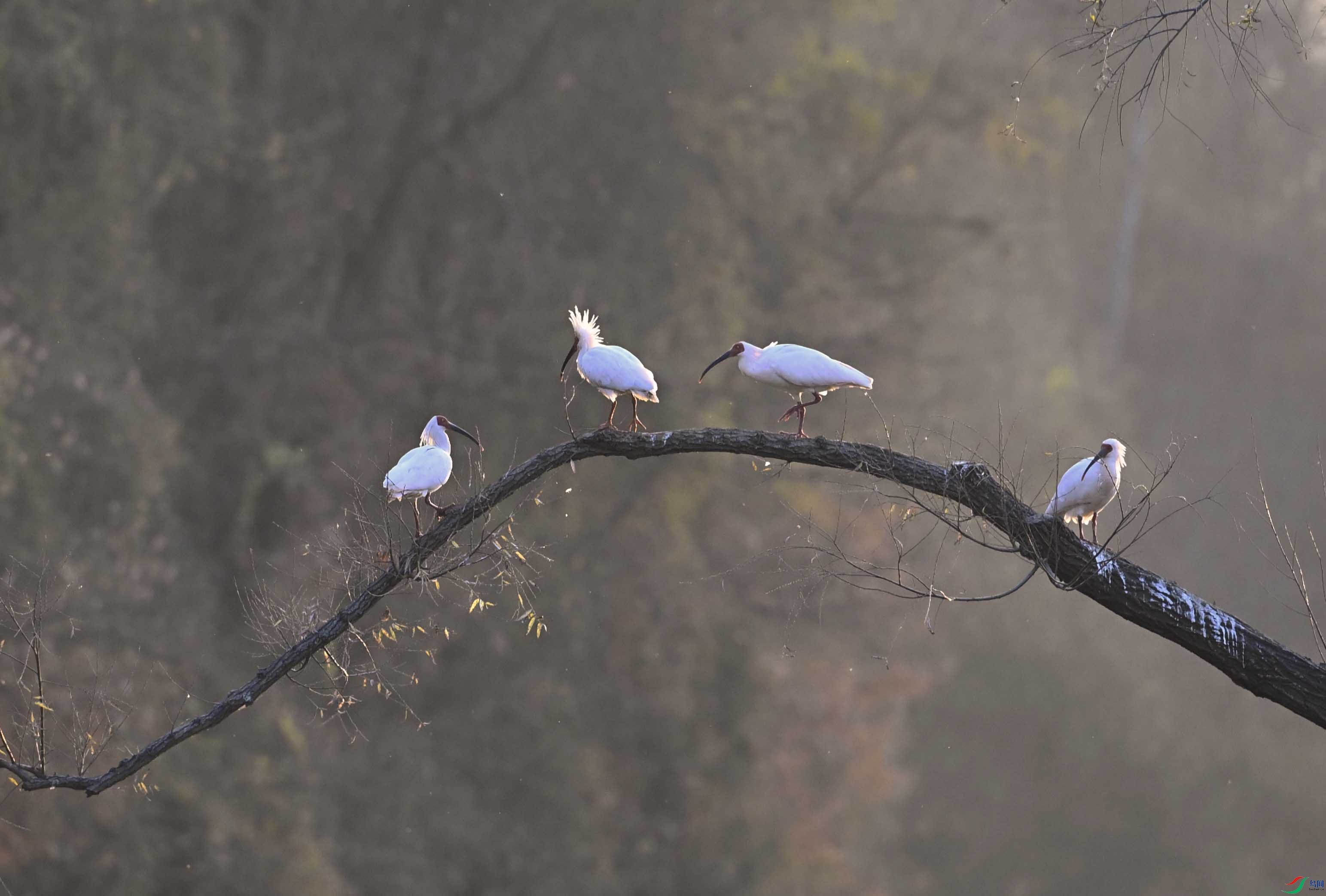 _DSC6885 ����.jpg