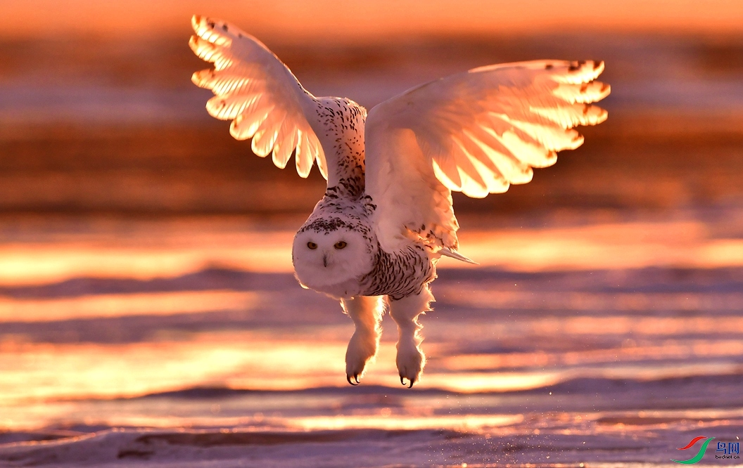 �����е����ӡ�