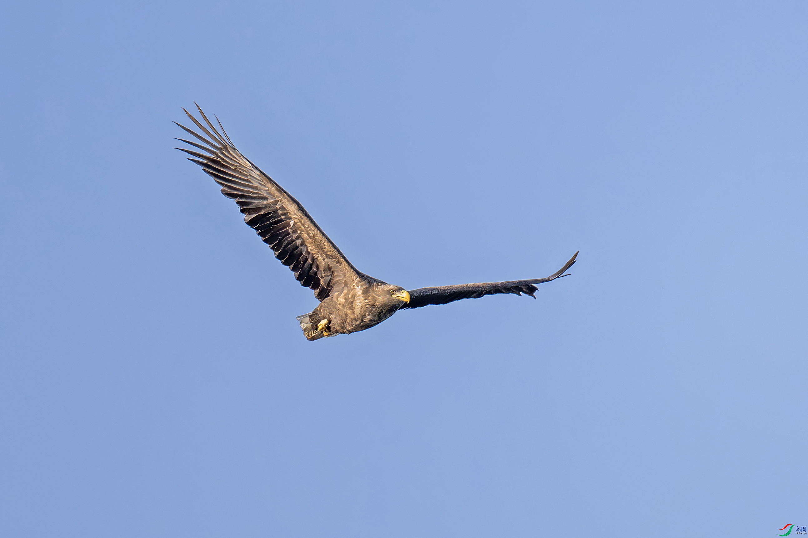 DSC_6576-����.jpg