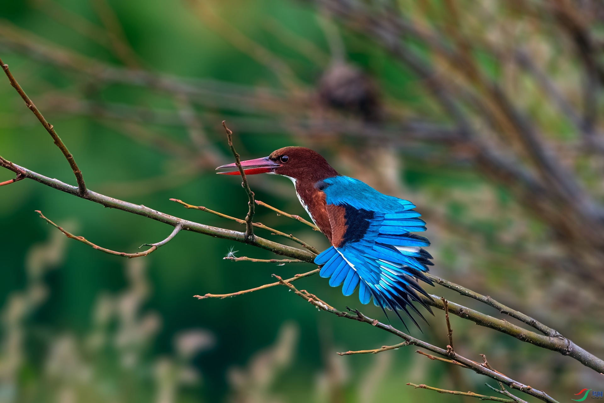 _AUU0404 �������(25.10.30).jpg