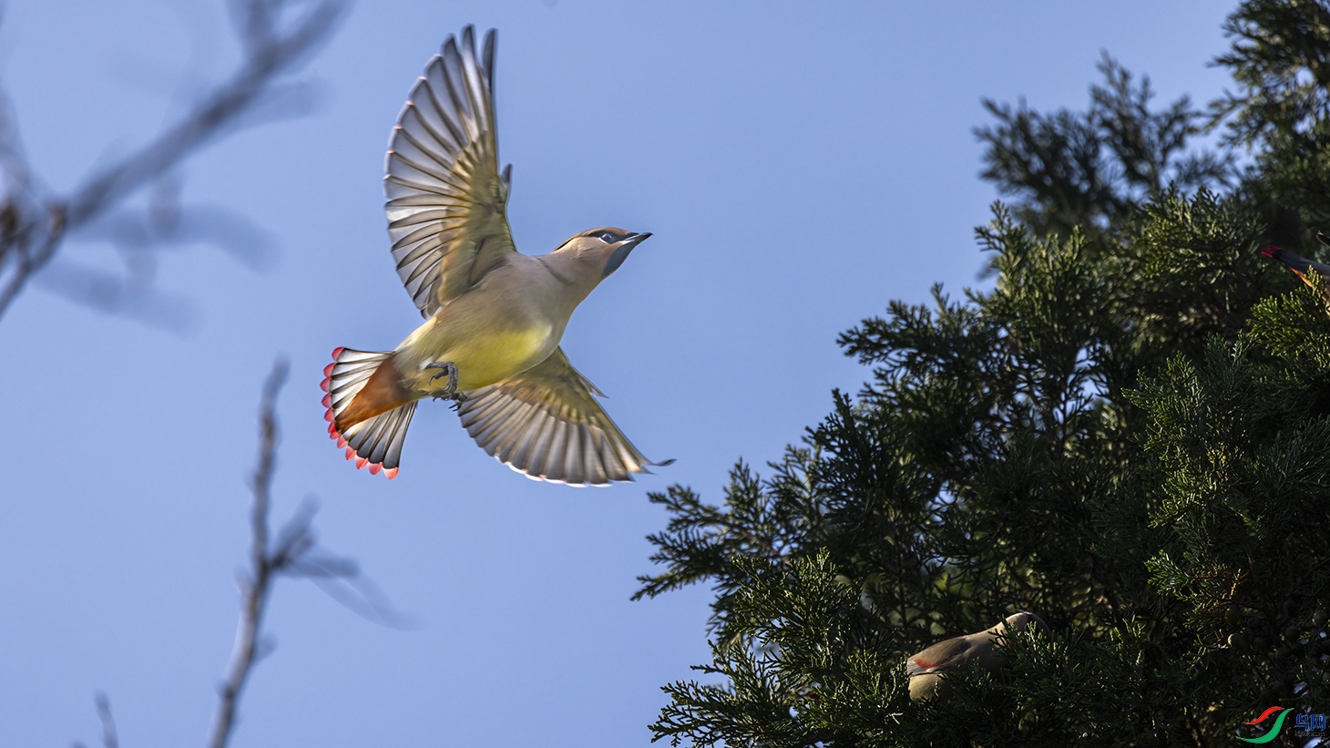 708A7648 ����.jpg