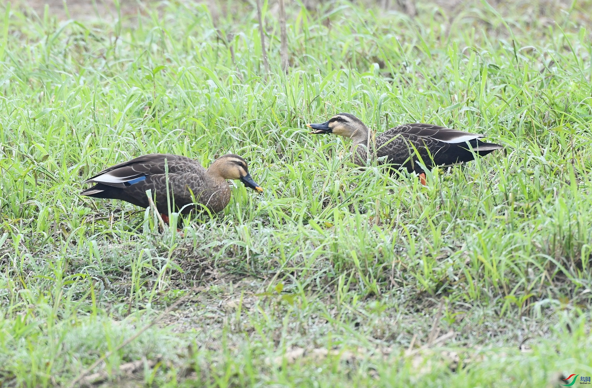 DSC_6963.jpg