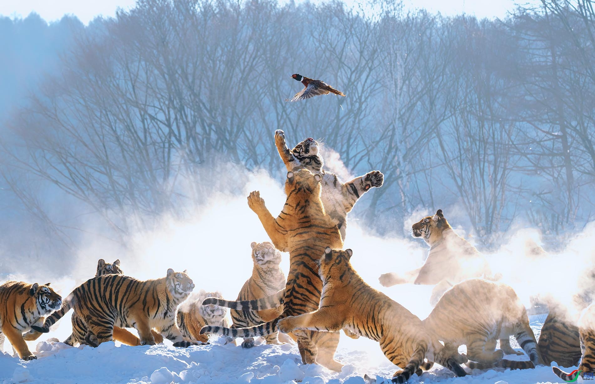 ����֮��