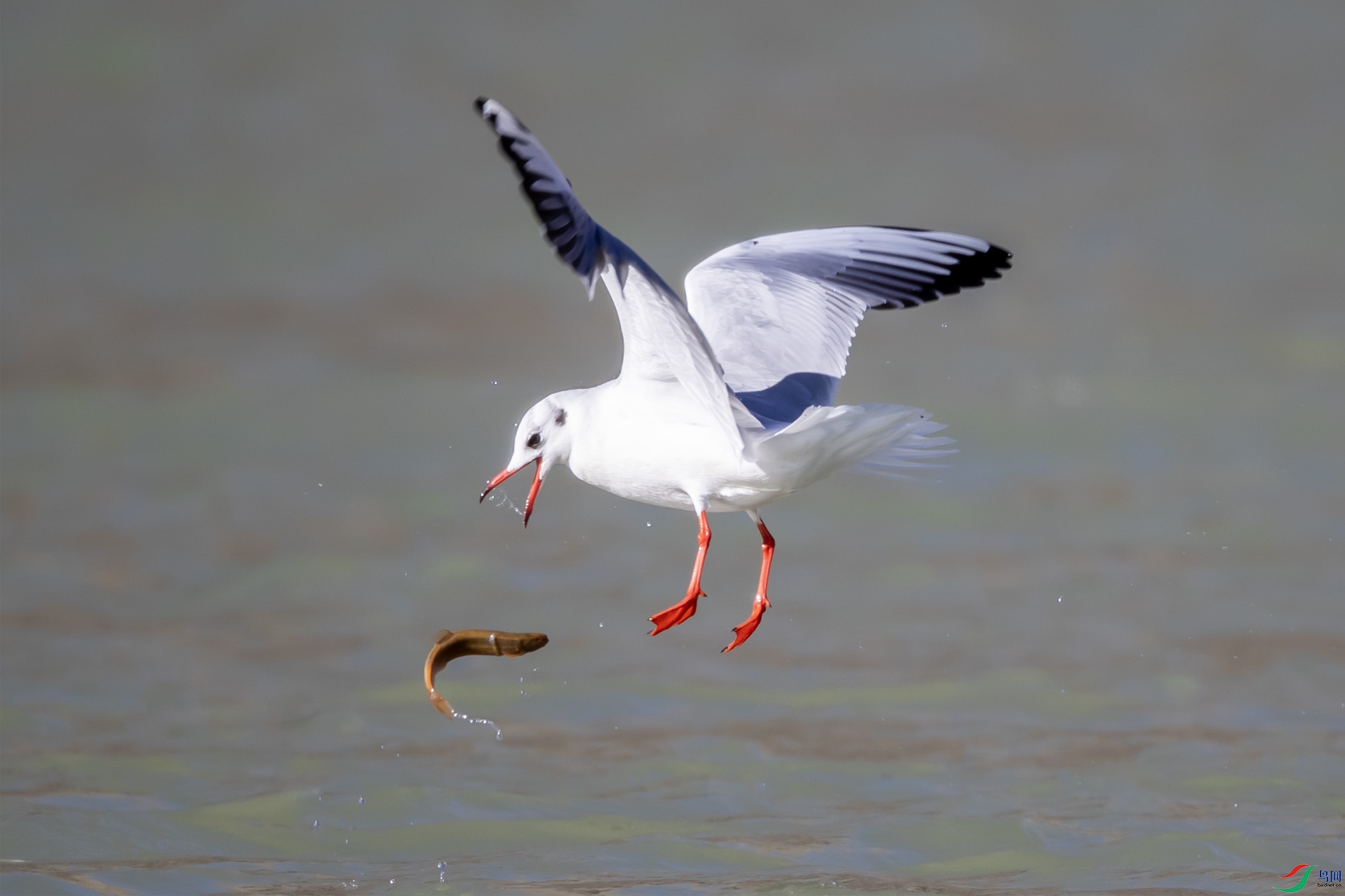 B26I7889 ����ŸOK.jpg