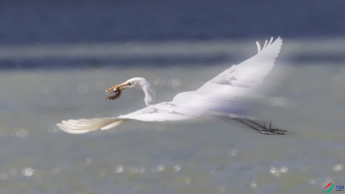 4K2A6492 ����002.jpg