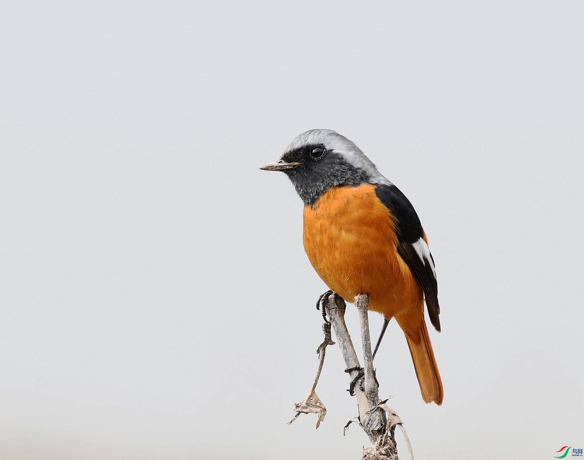 DSC_7521.jpg