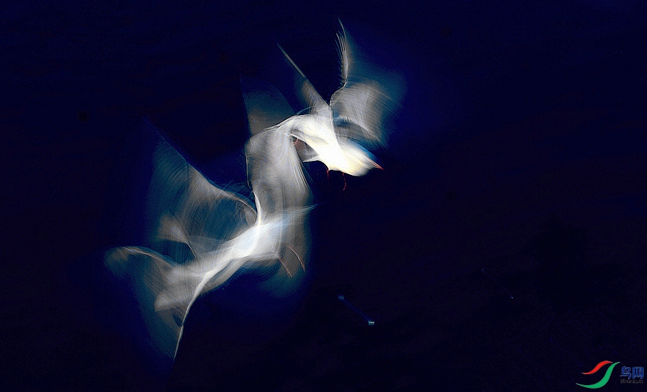 DSC03864.jpg