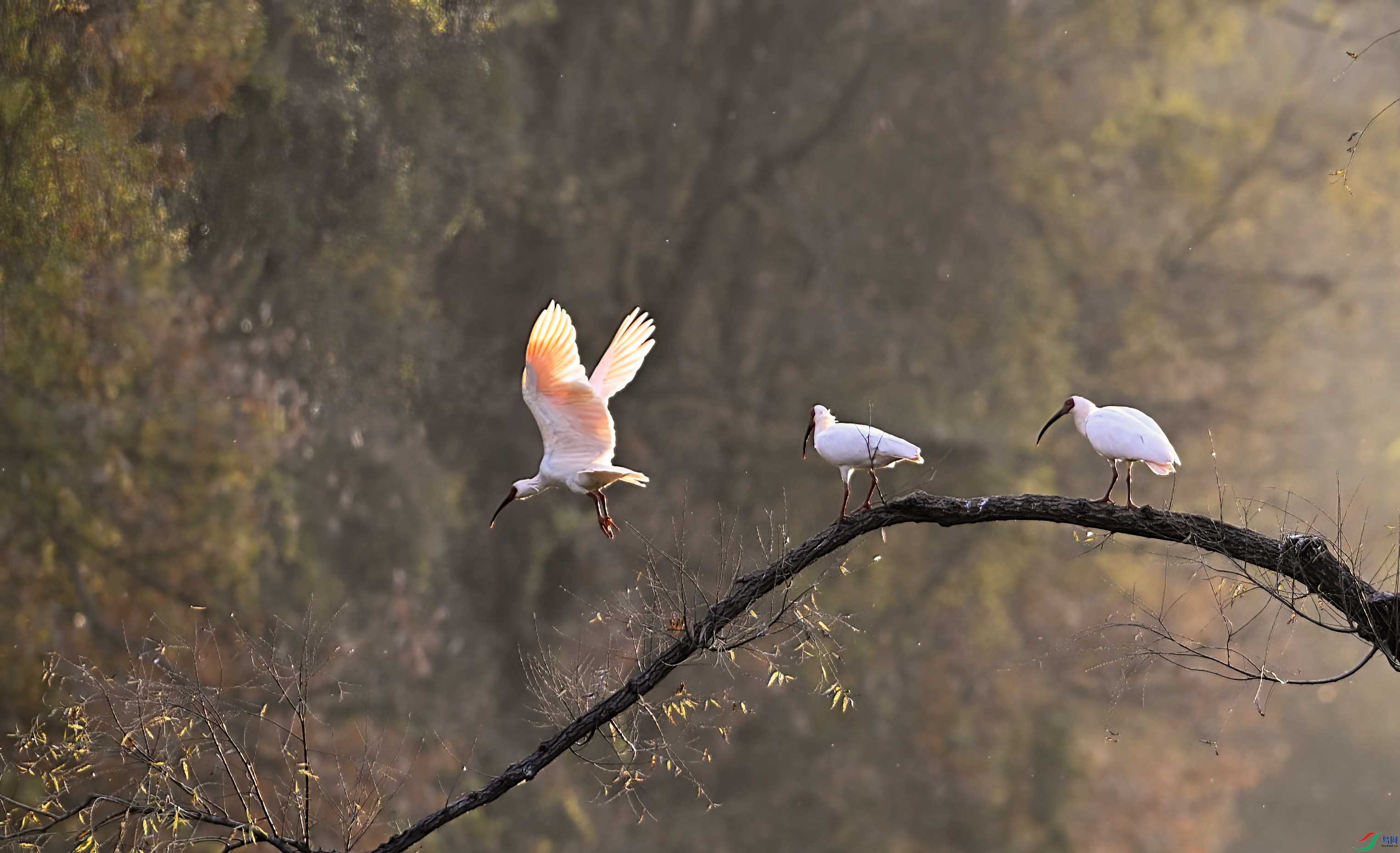 _DSC6156 ����.jpg