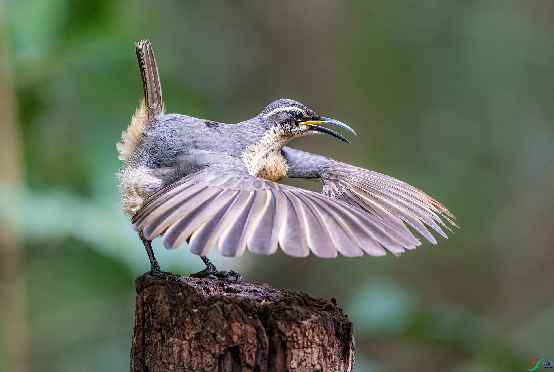 DSC_3018.jpg