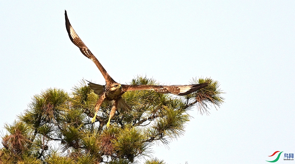 DSC_6051.JPG
