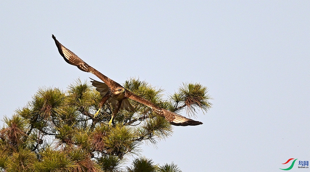 DSC_6052.JPG