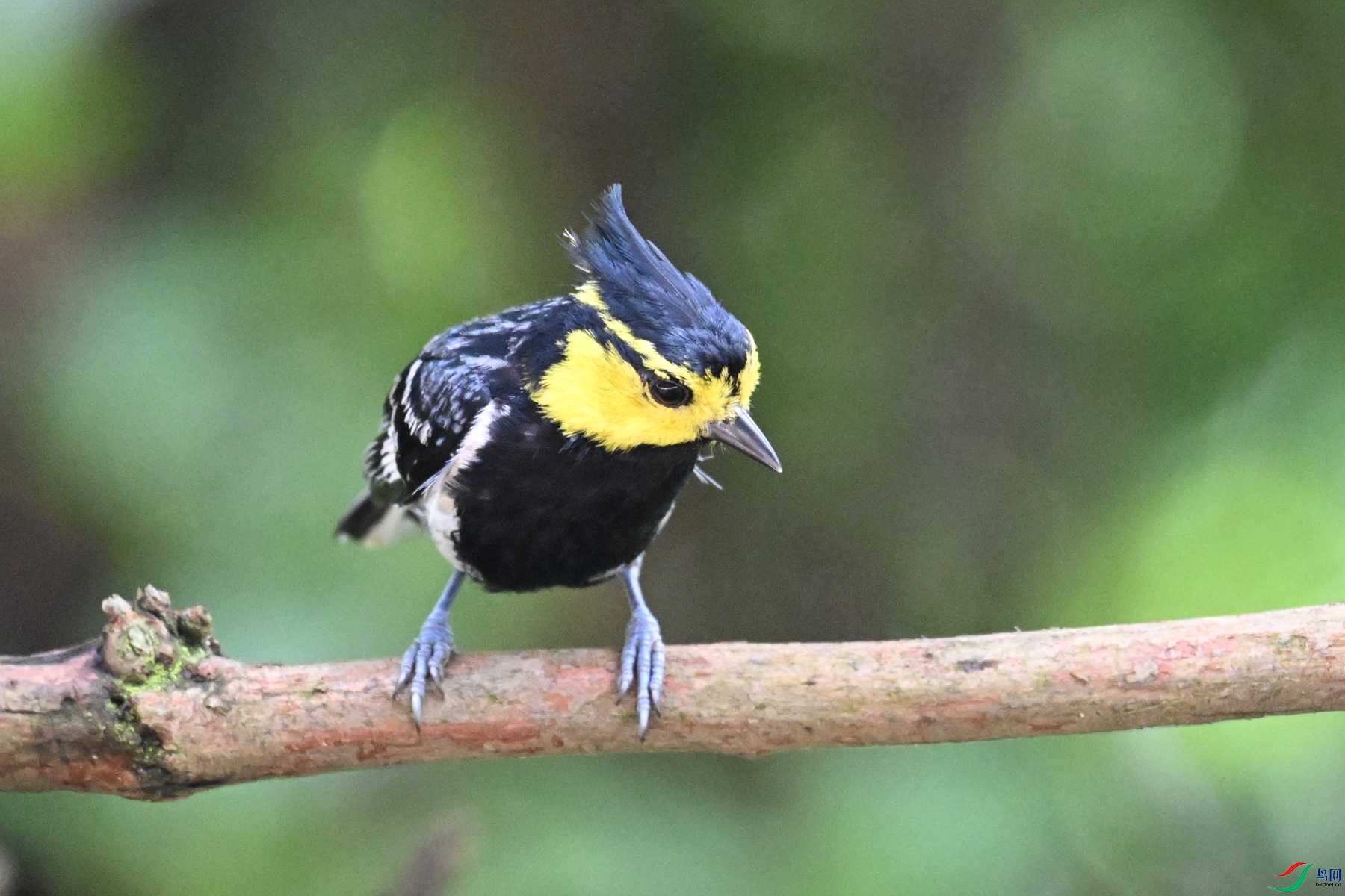 DSC_0039.JPG