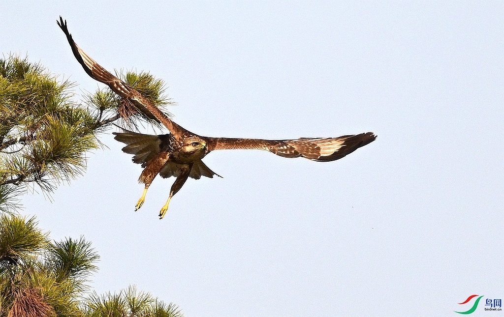 DSC_6059.JPG