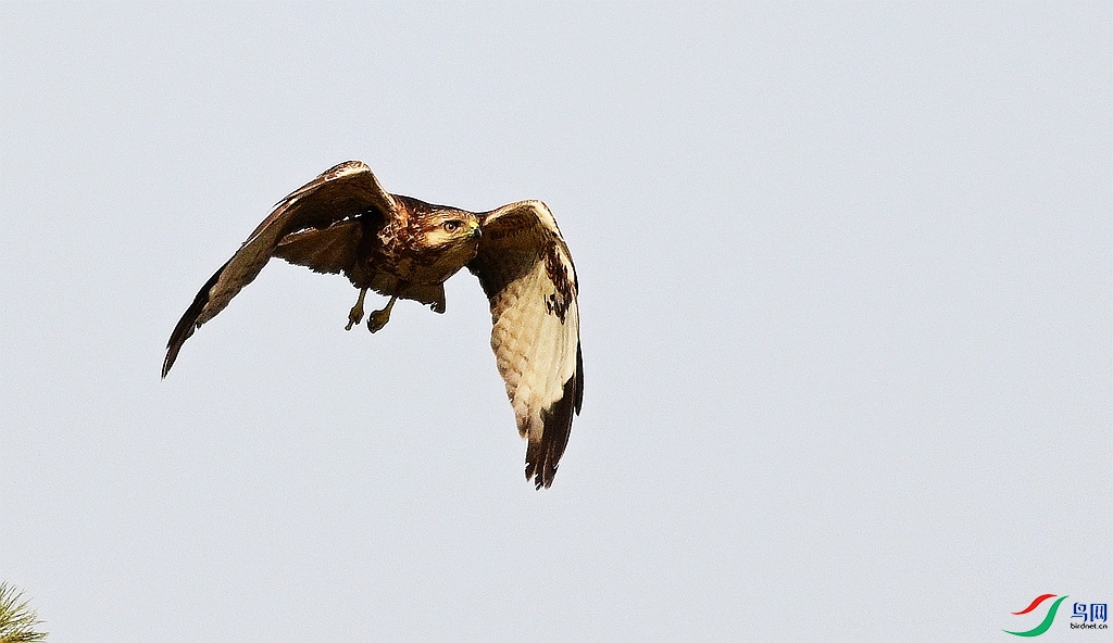 DSC_6063.JPG
