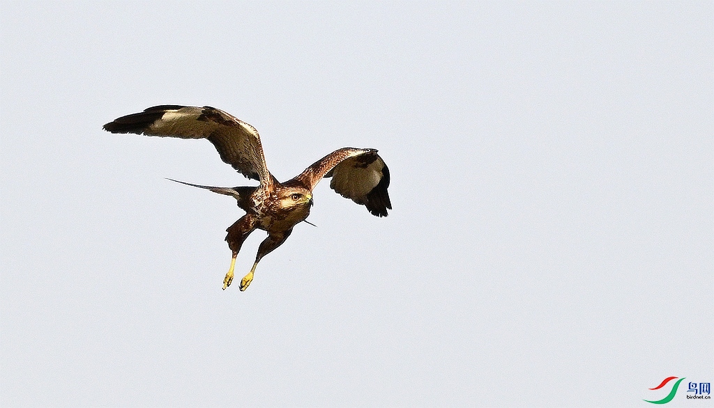 DSC_6064.JPG