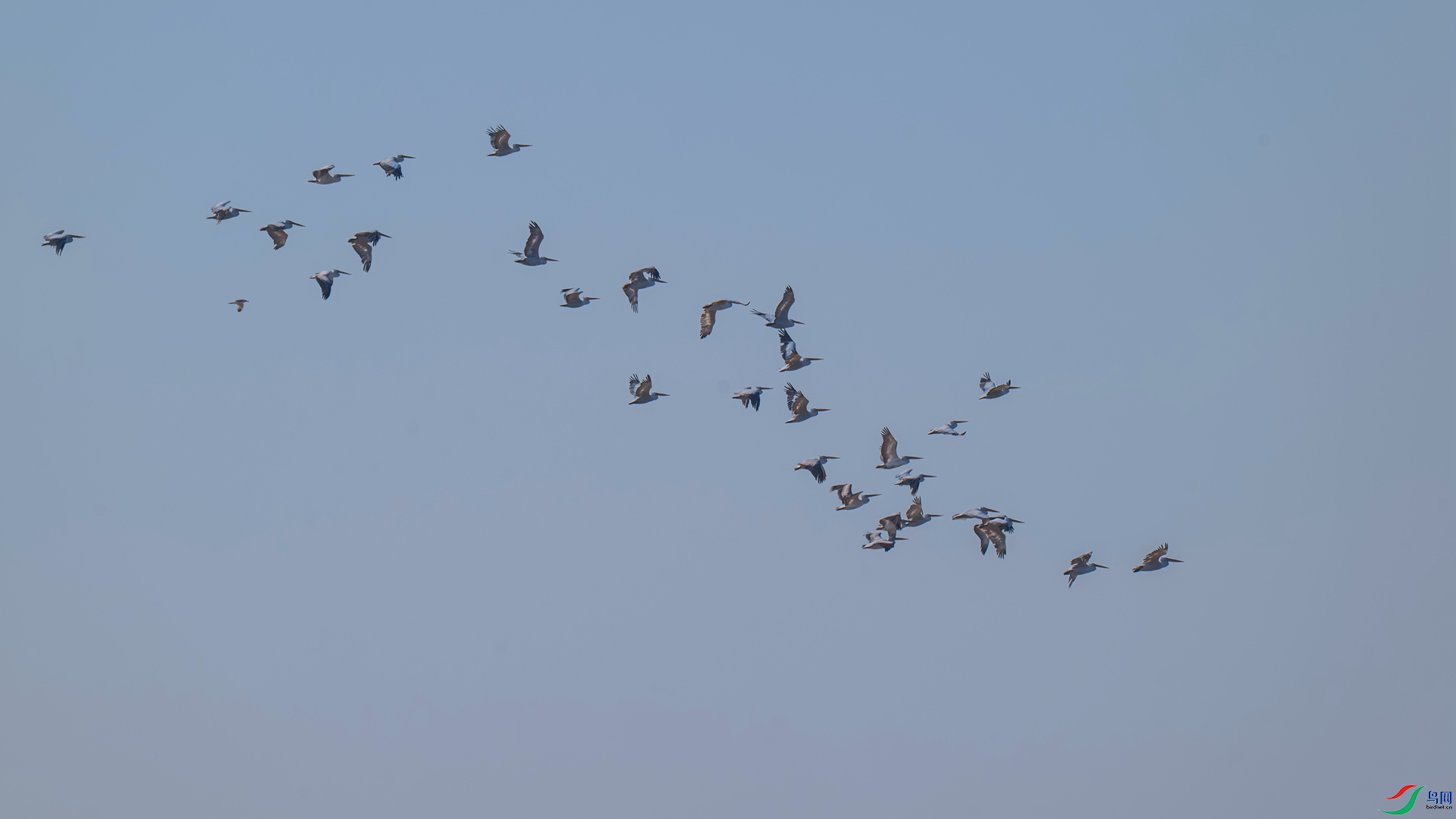 DSC_7532 ����_����.jpg