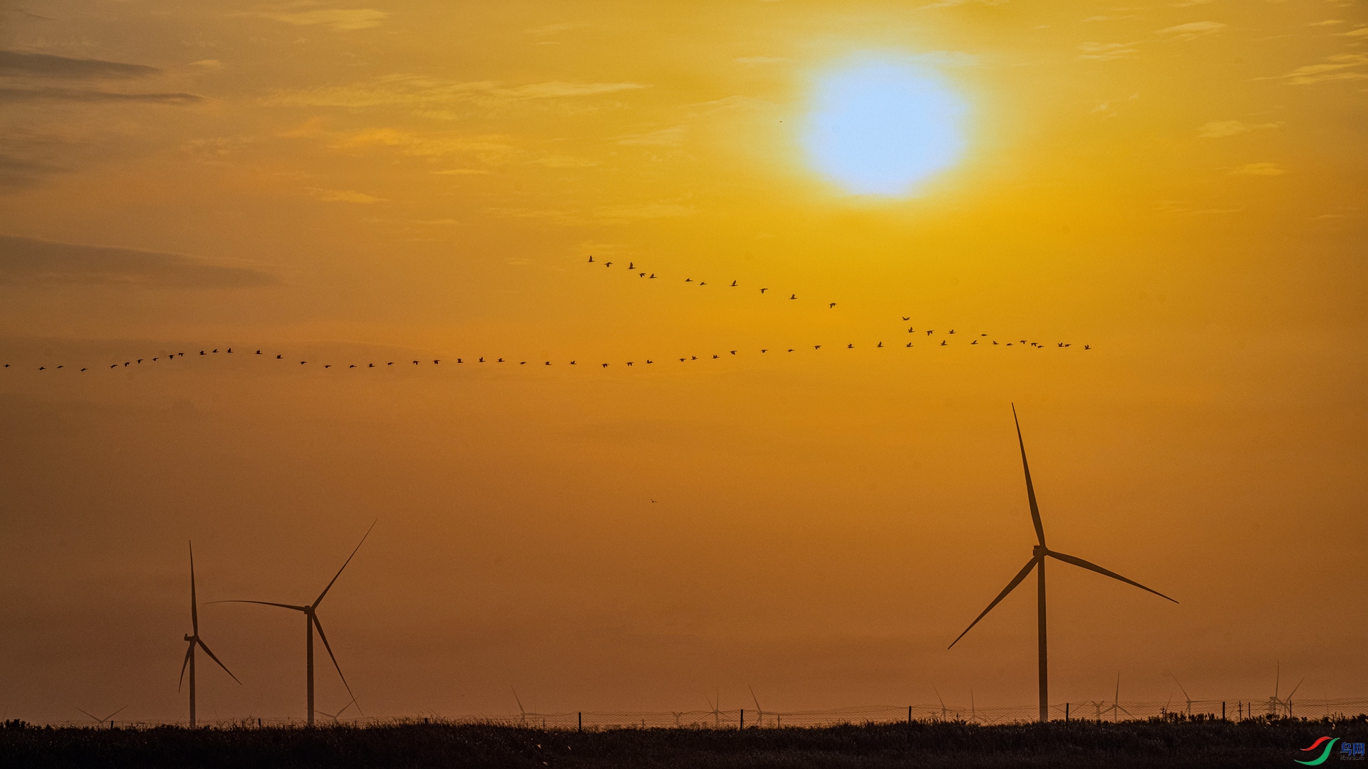 DSC_6969 ����_����.jpg