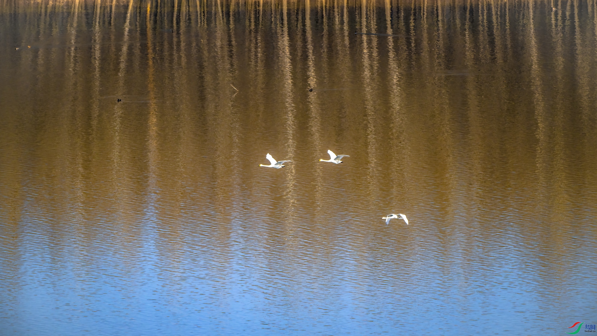 _DSC5890.jpg