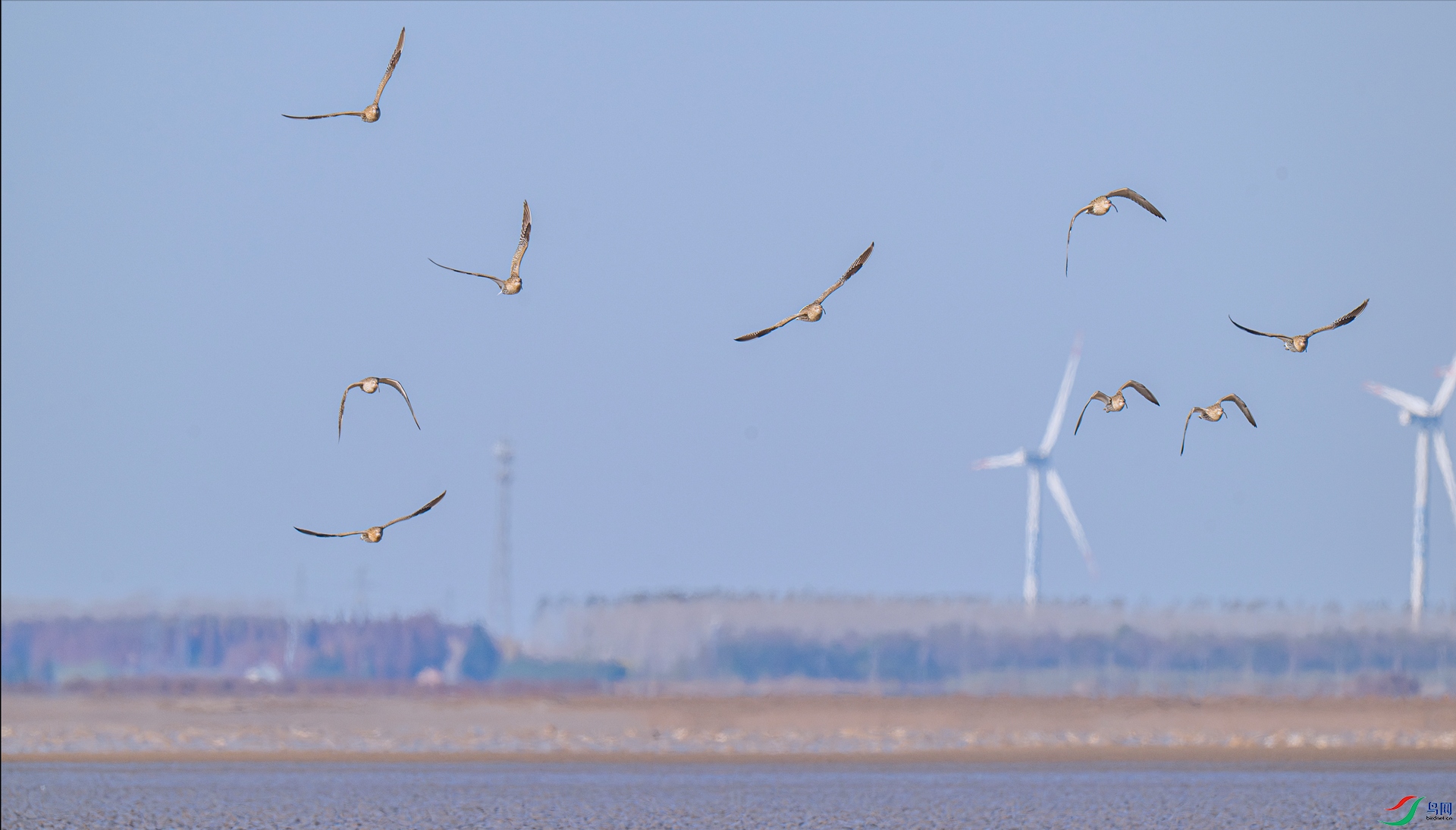 DSC_7749 ����_����.jpg