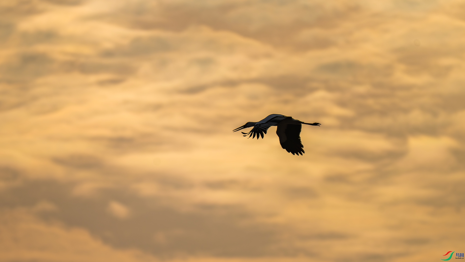 DSC_6650 ����_����.jpg