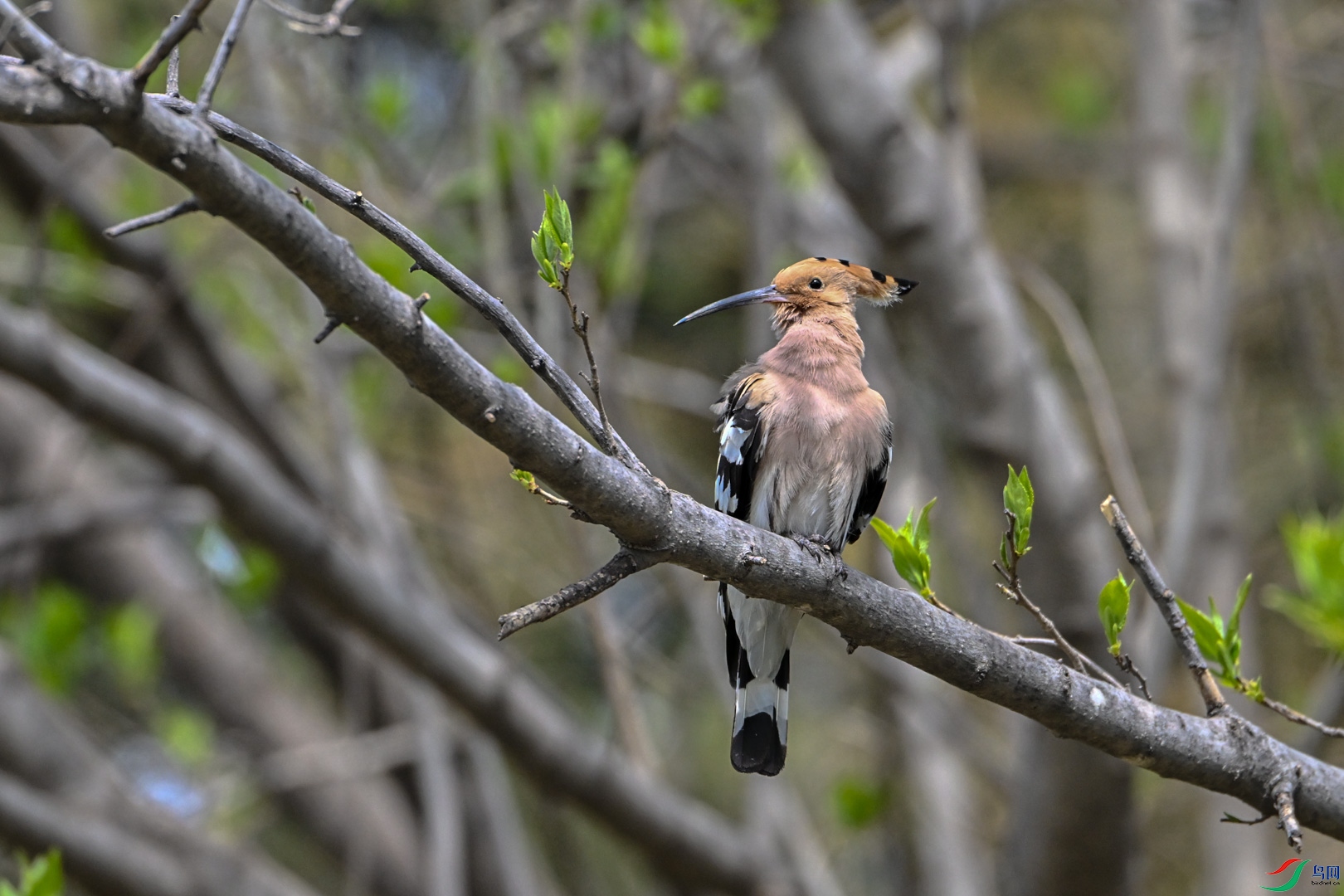 DSC_0758_2.jpg
