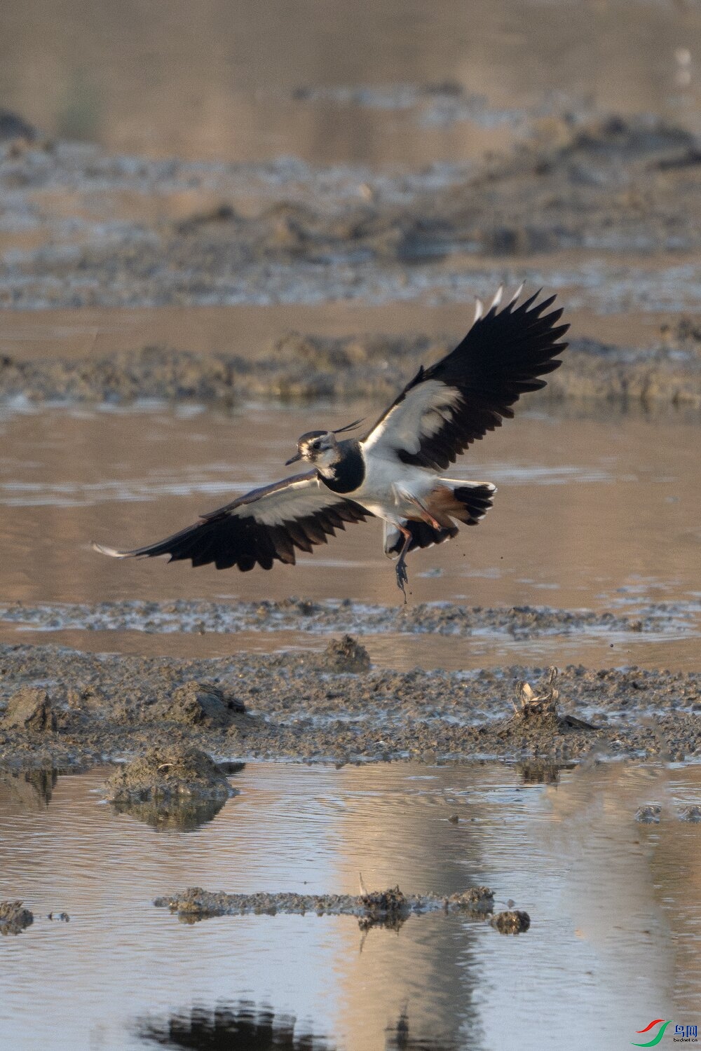 _DSC8614-����ǿ-NR ����.jpg