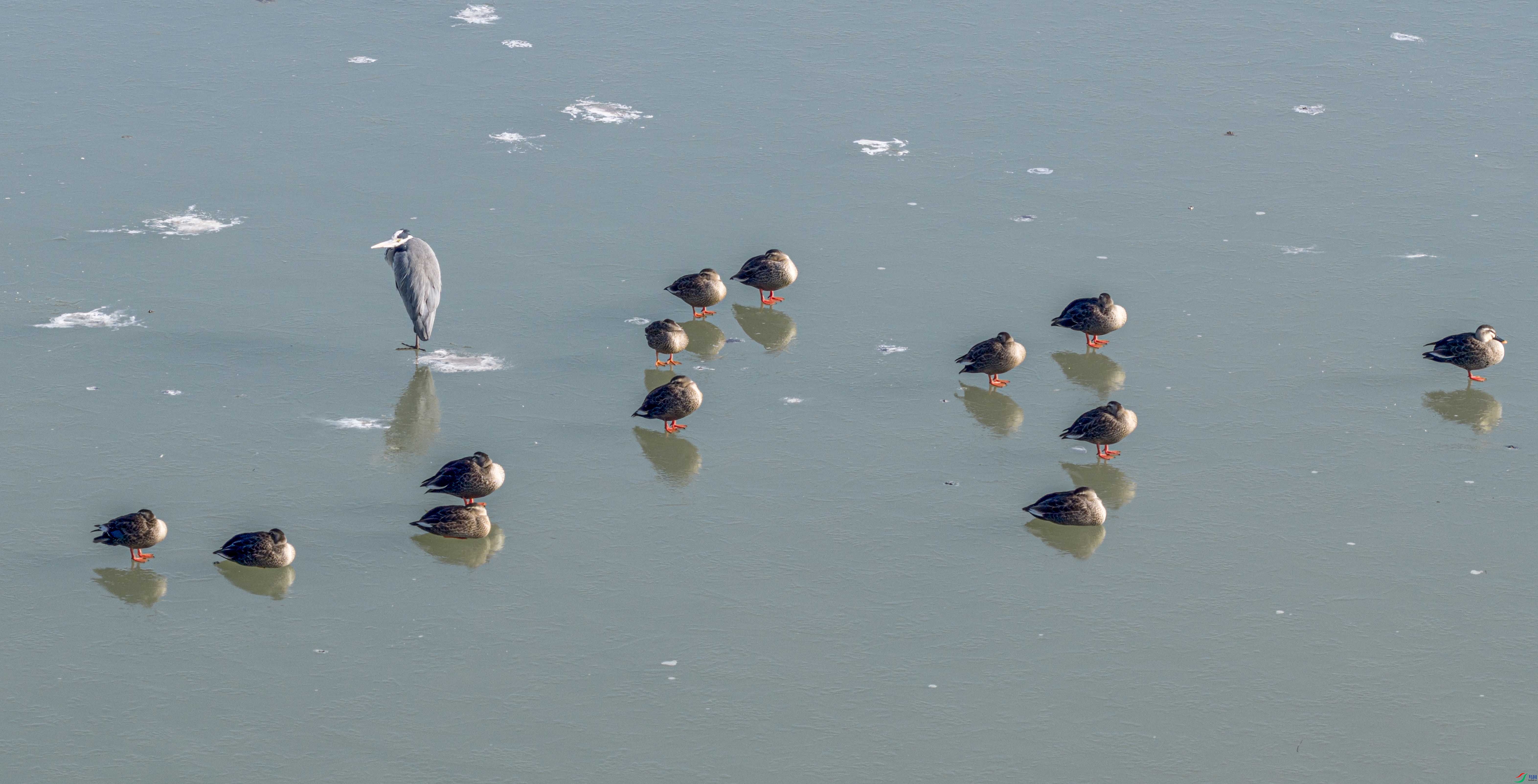 DJI_20251214101820_0298_D ����.jpg