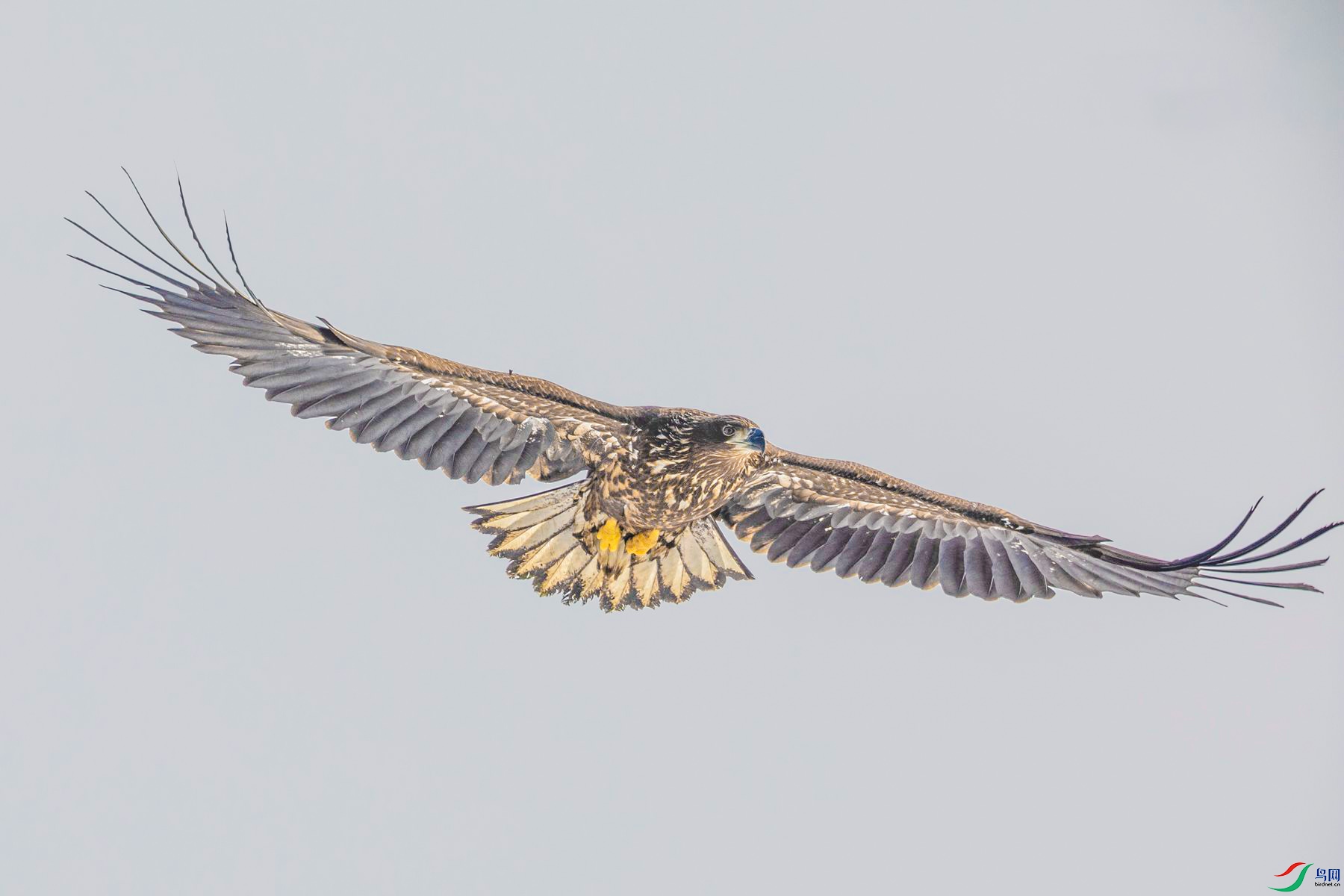 ��β����02