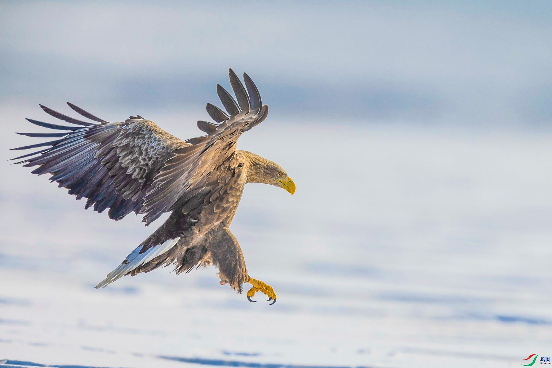 ��β����05