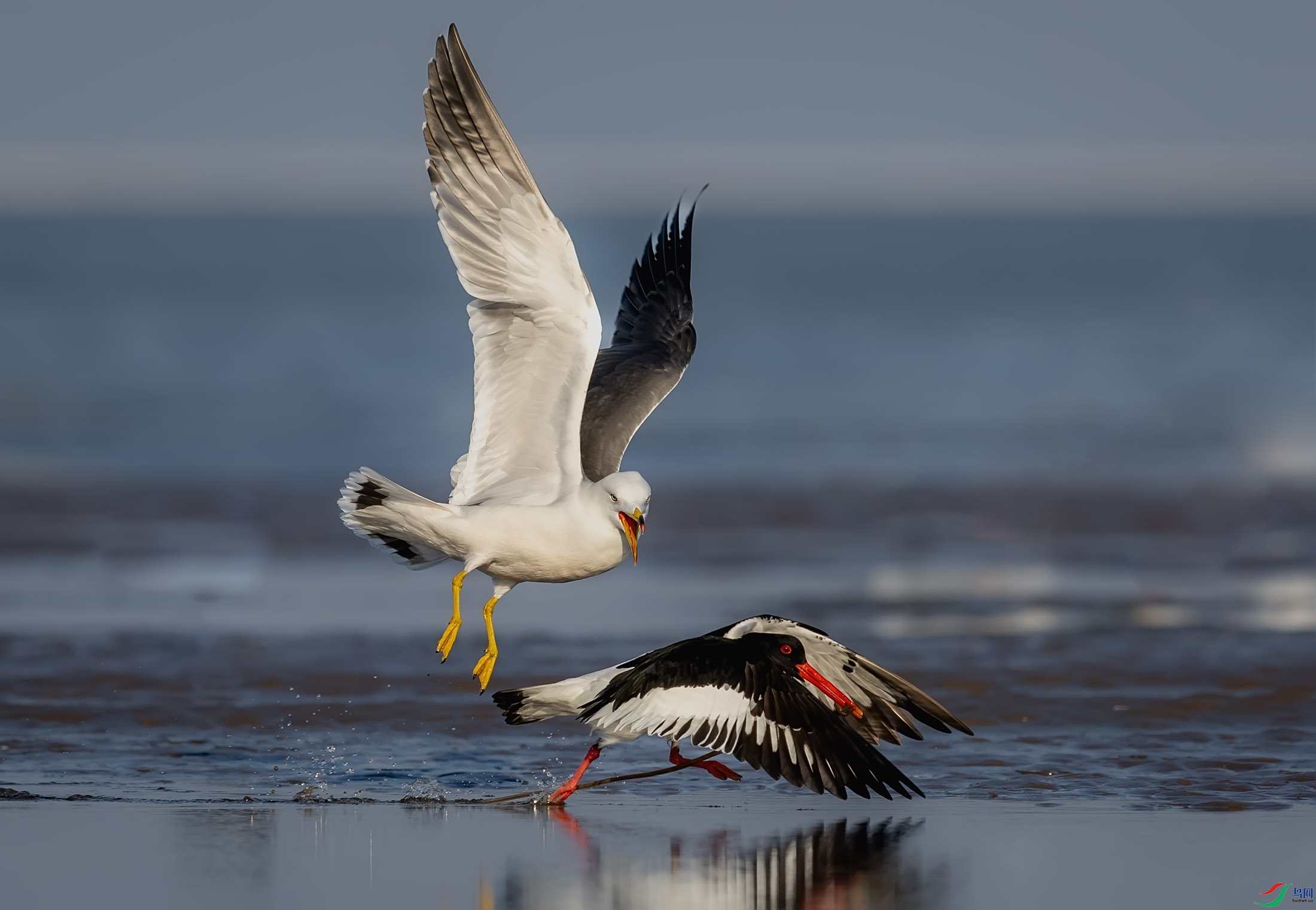 ��βŸ������