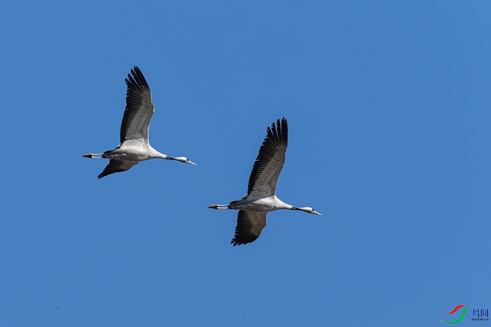 DSC_1728.jpg