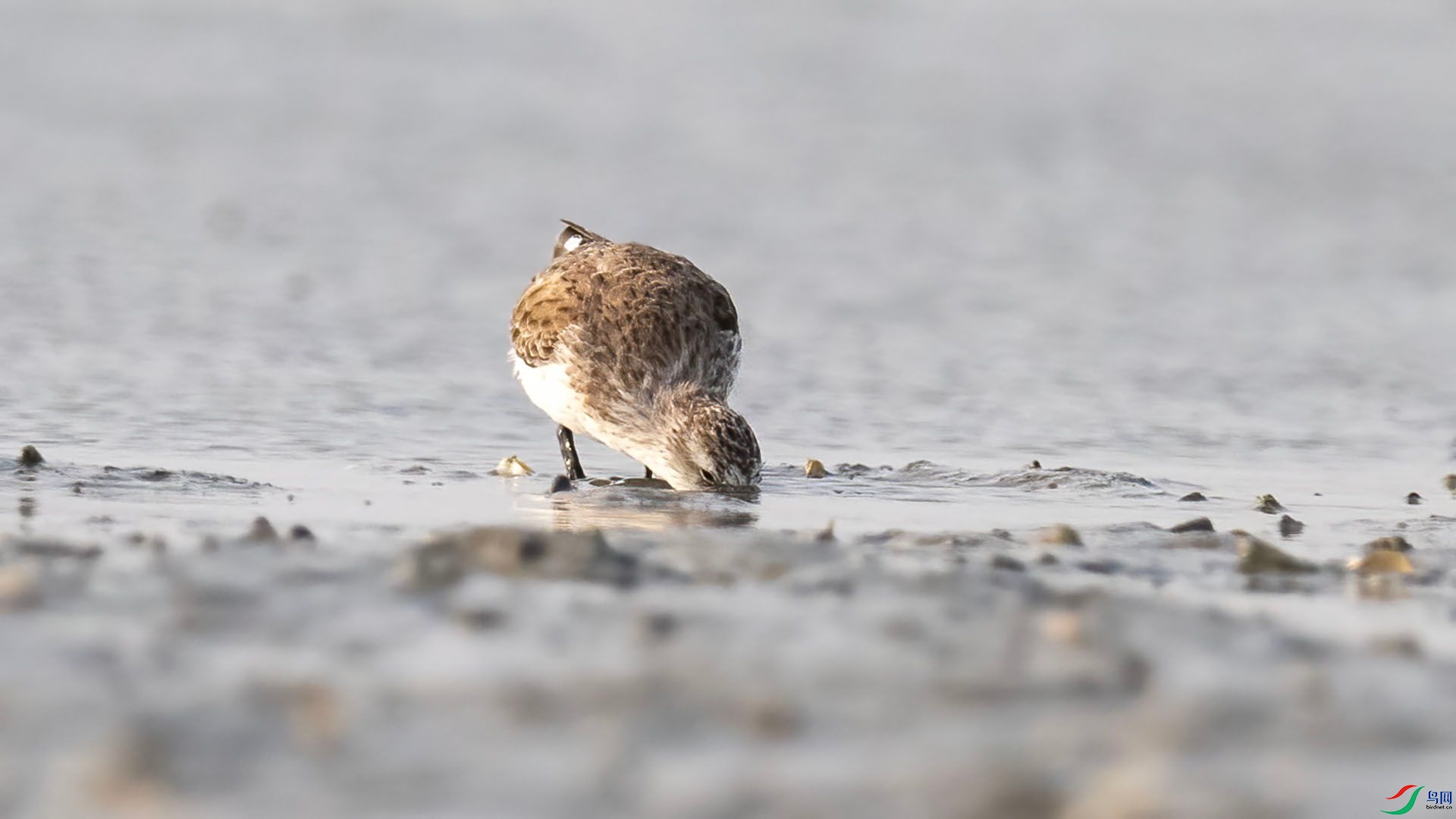 _DSC7619 ����.jpg