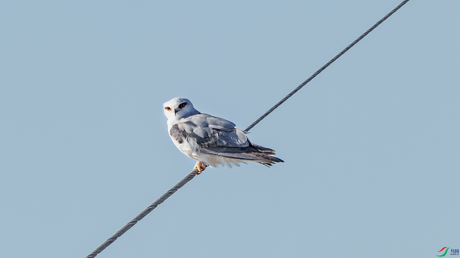 DSC_0284-����ǿ-NR ����.jpg