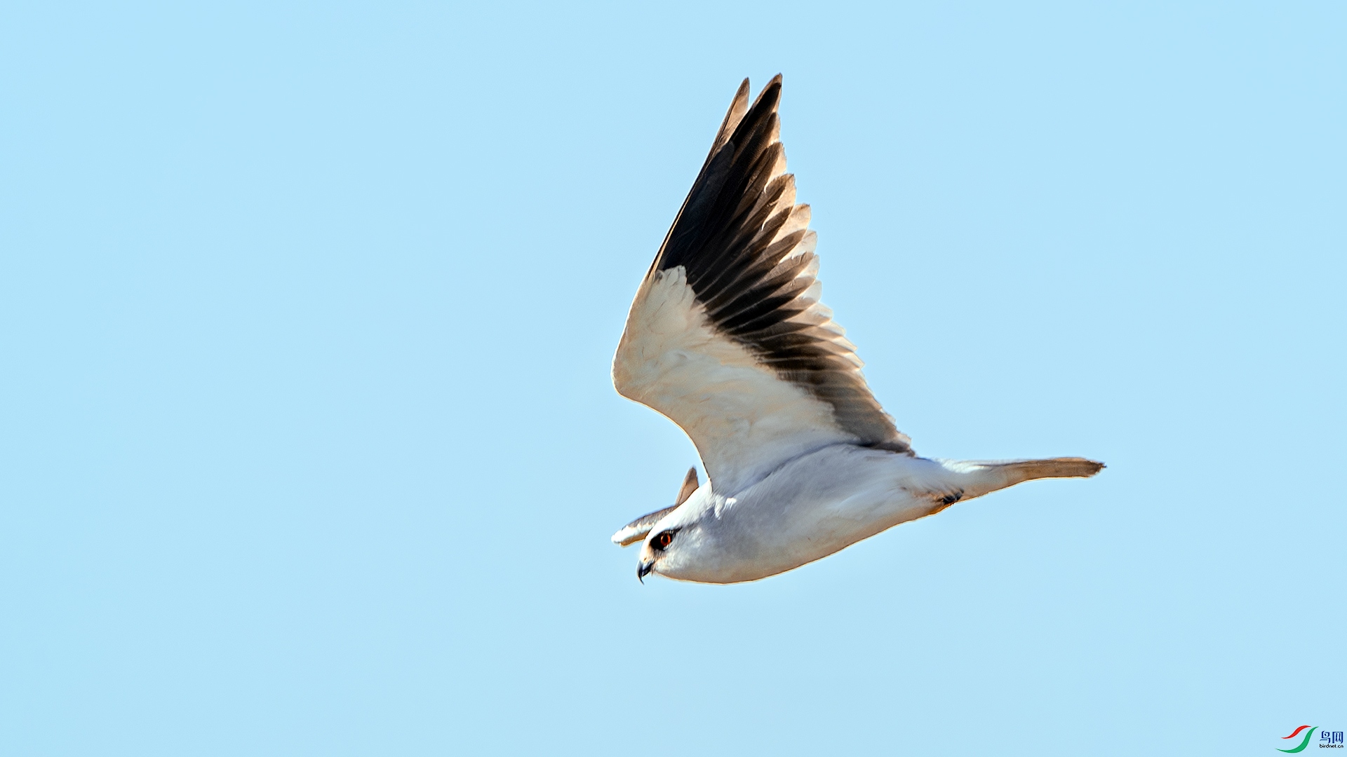 DSC_0295-����ǿ-NR ����.jpg