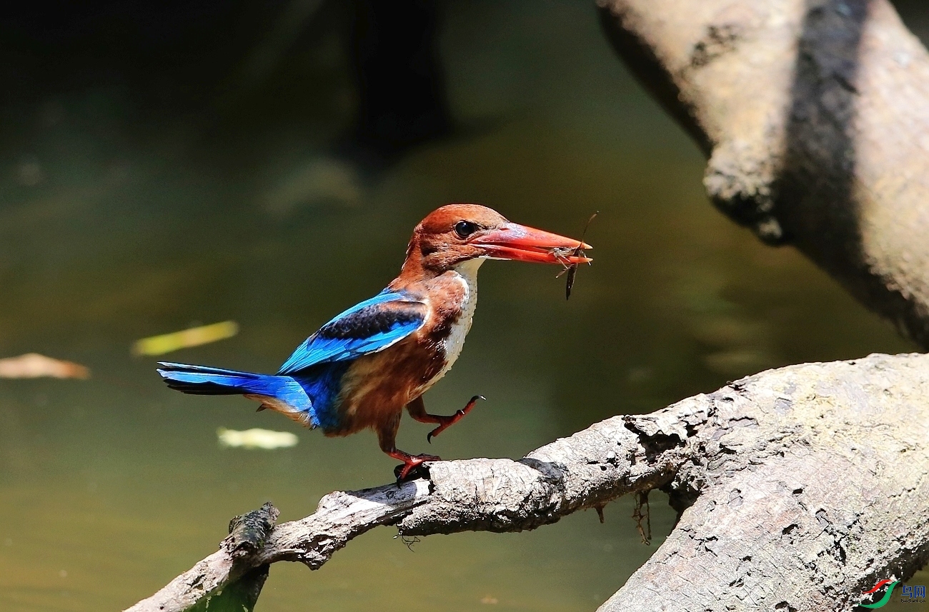 ���� IMGL2242�� ��1.JPG