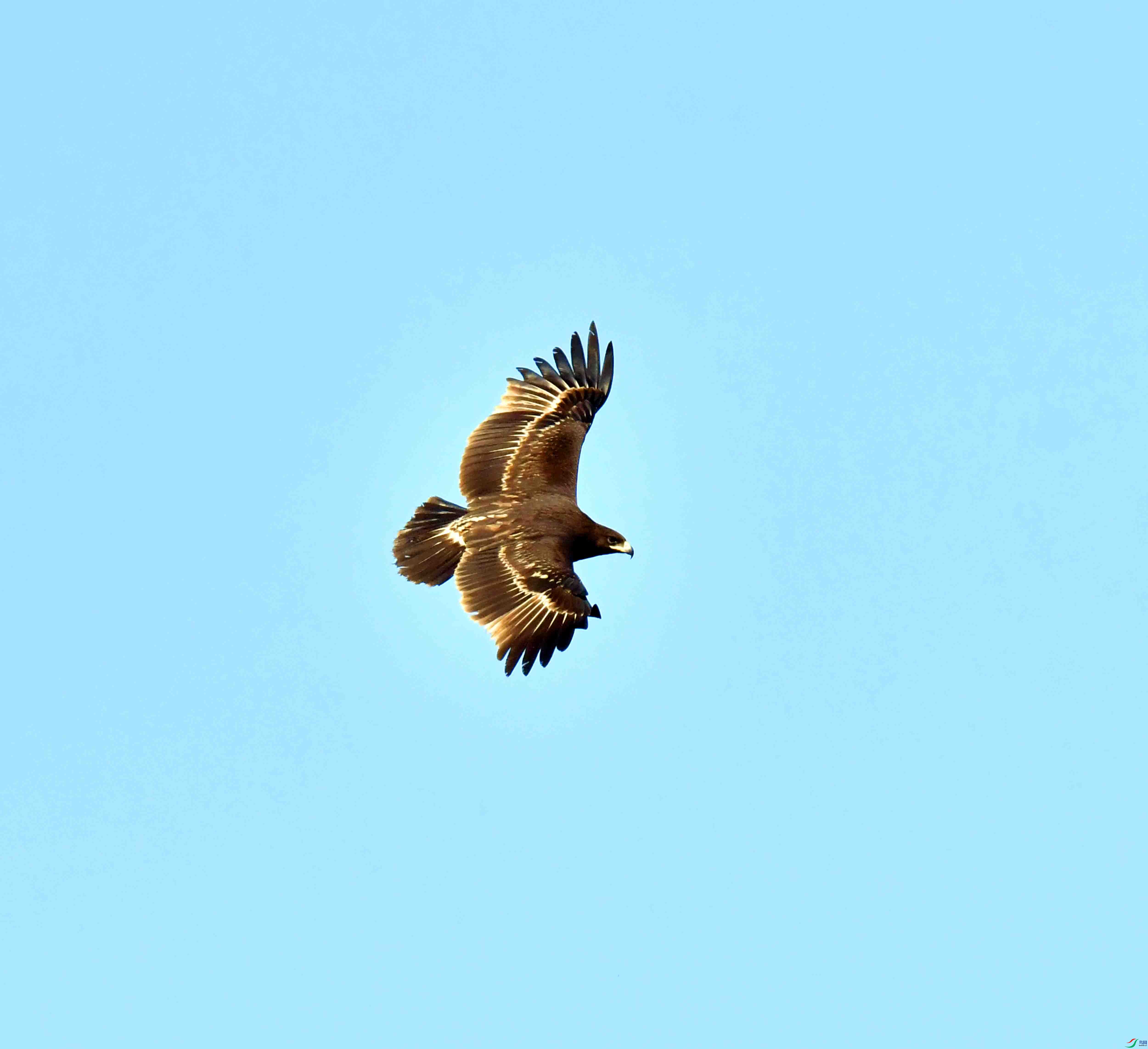 DSC_9311.JPG