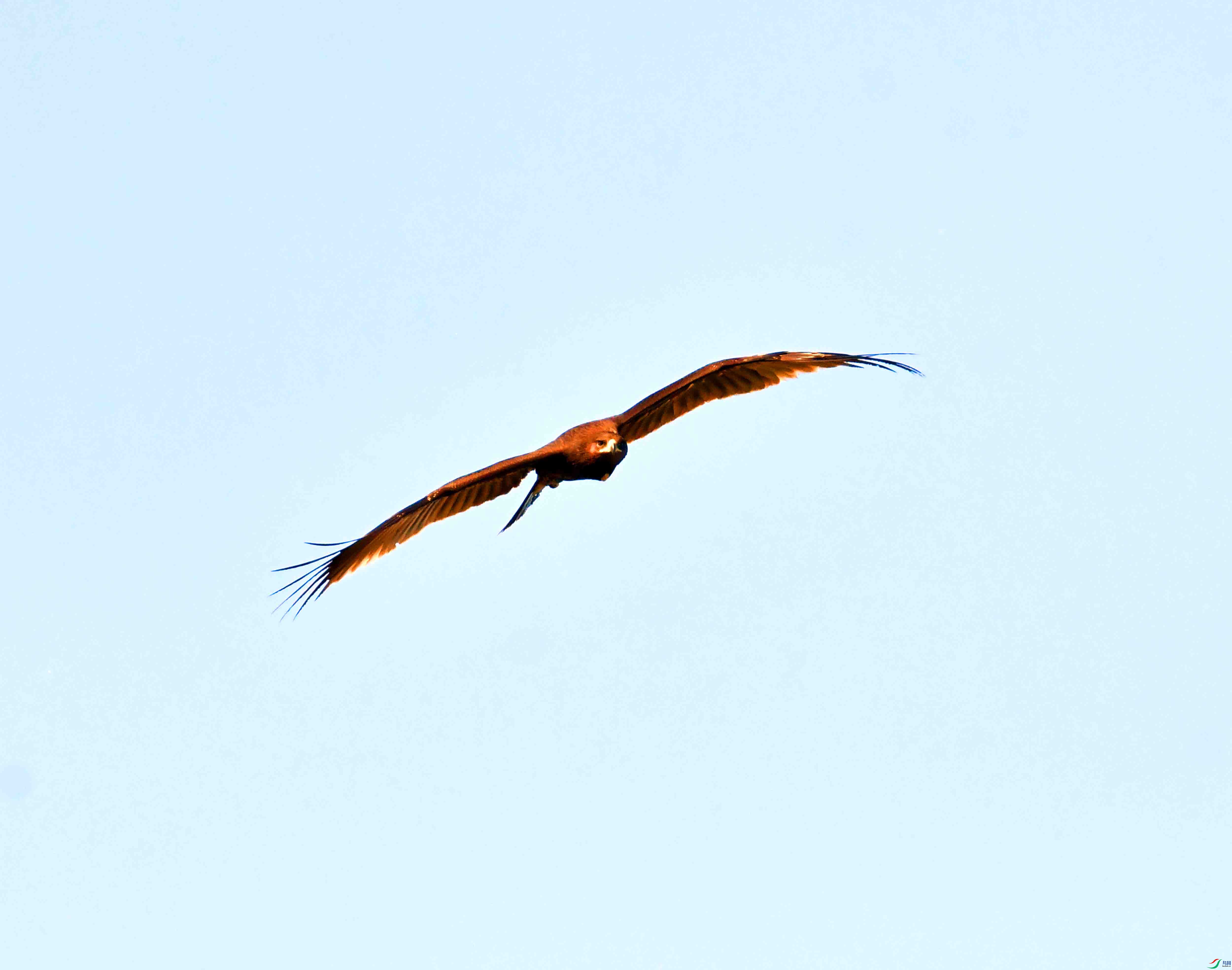 DSC_9342.JPG