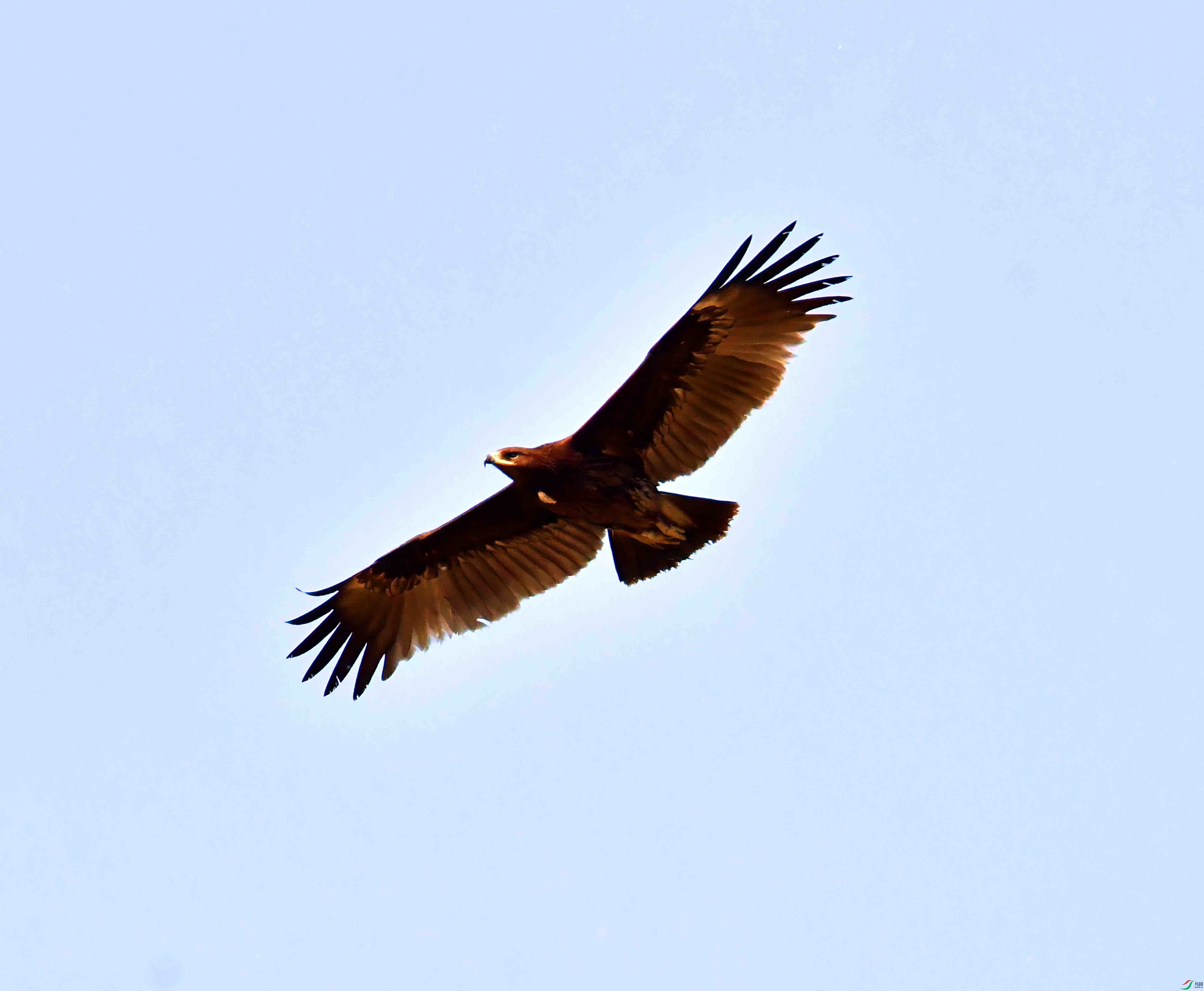 DSC_9347.JPG