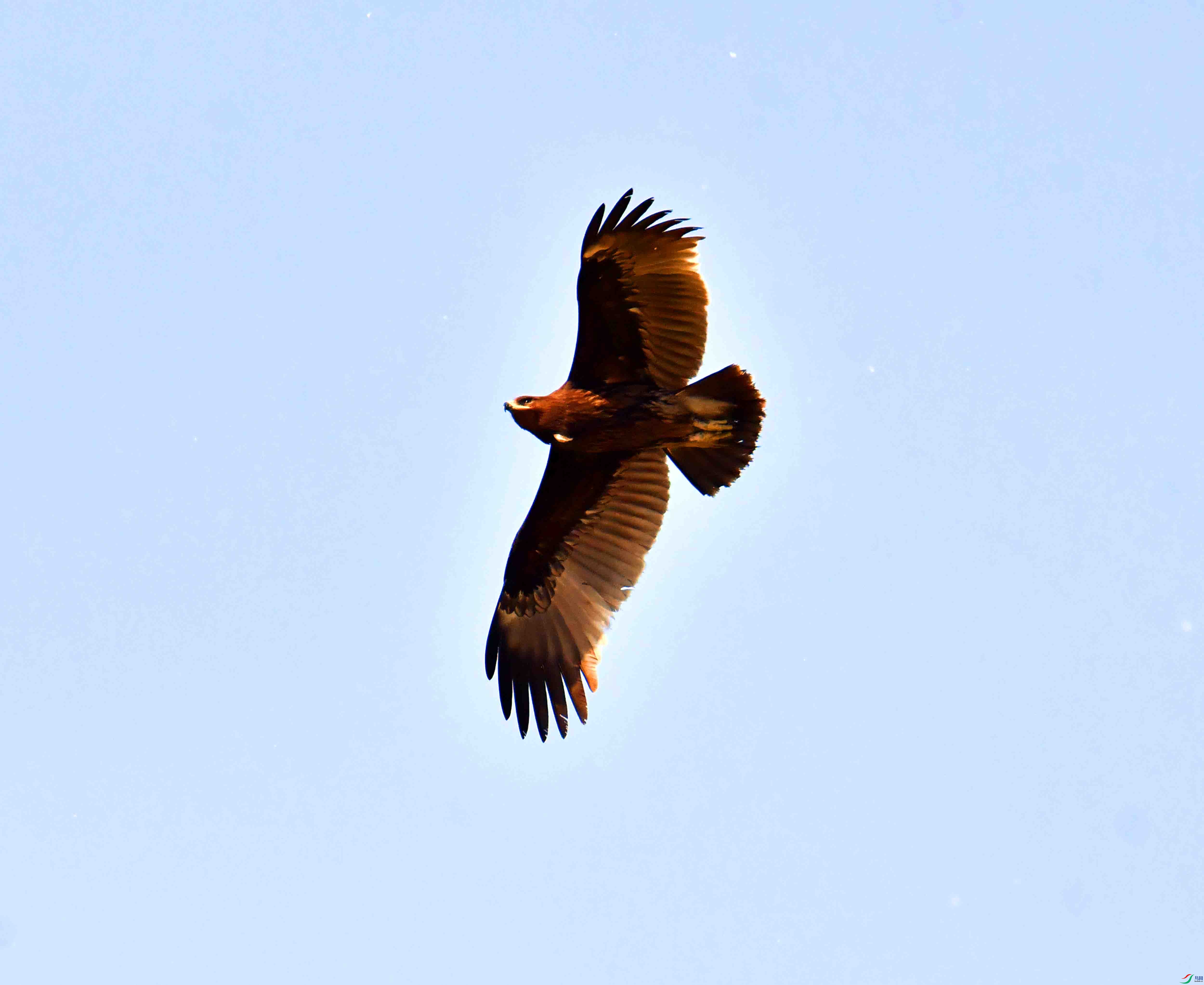 DSC_9352.JPG