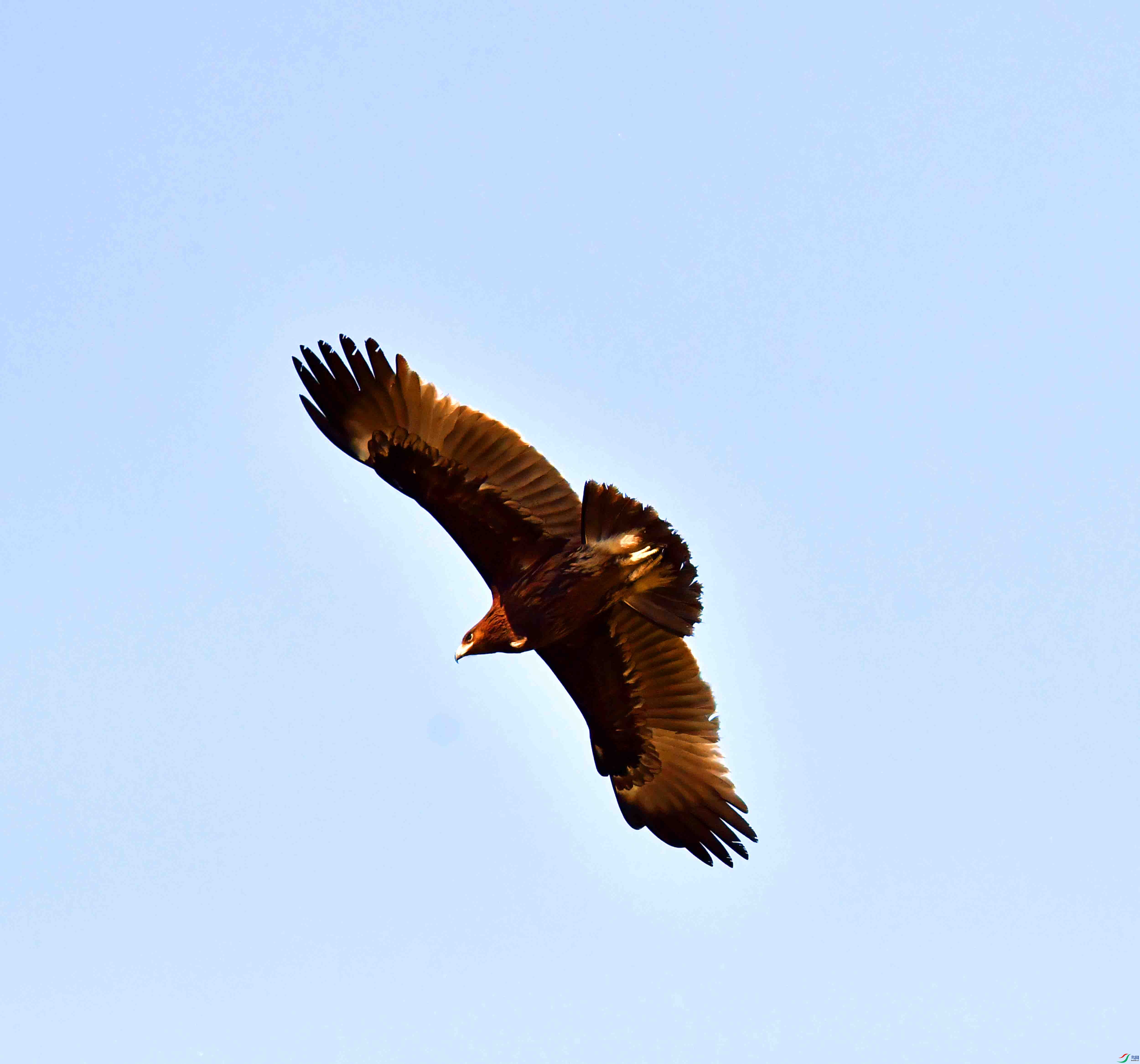 DSC_9354.JPG