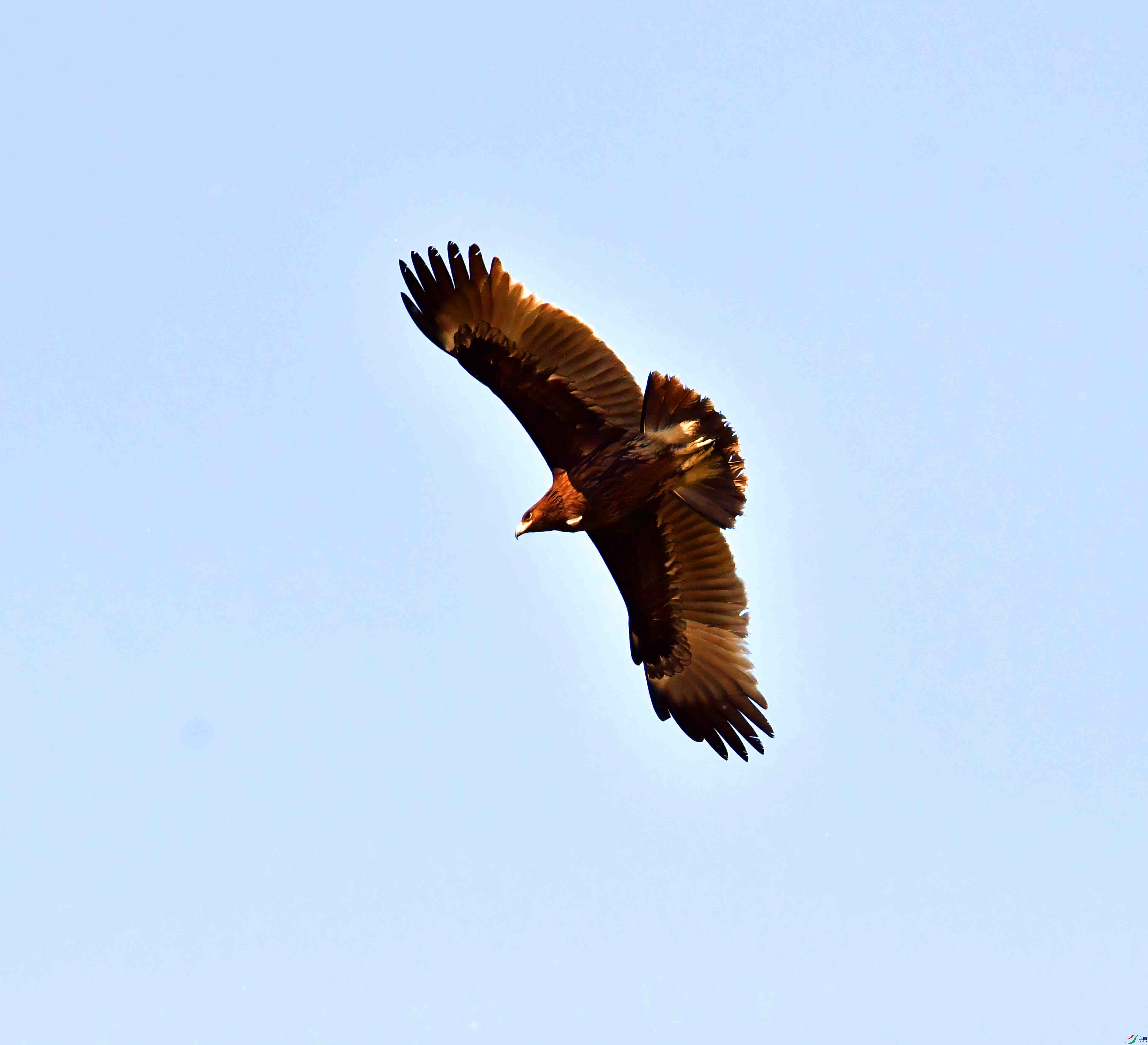 DSC_9353.JPG