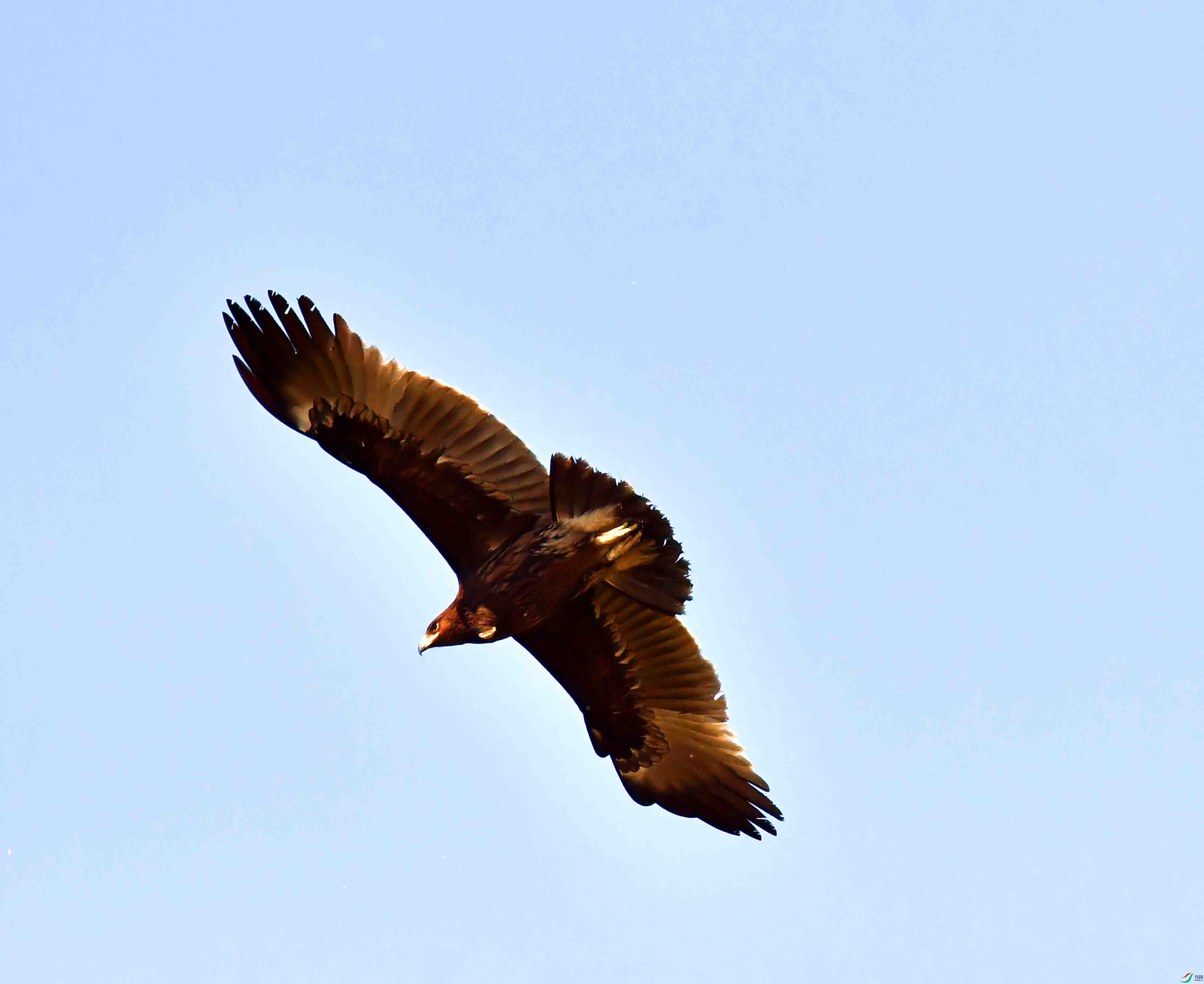 DSC_9355.JPG